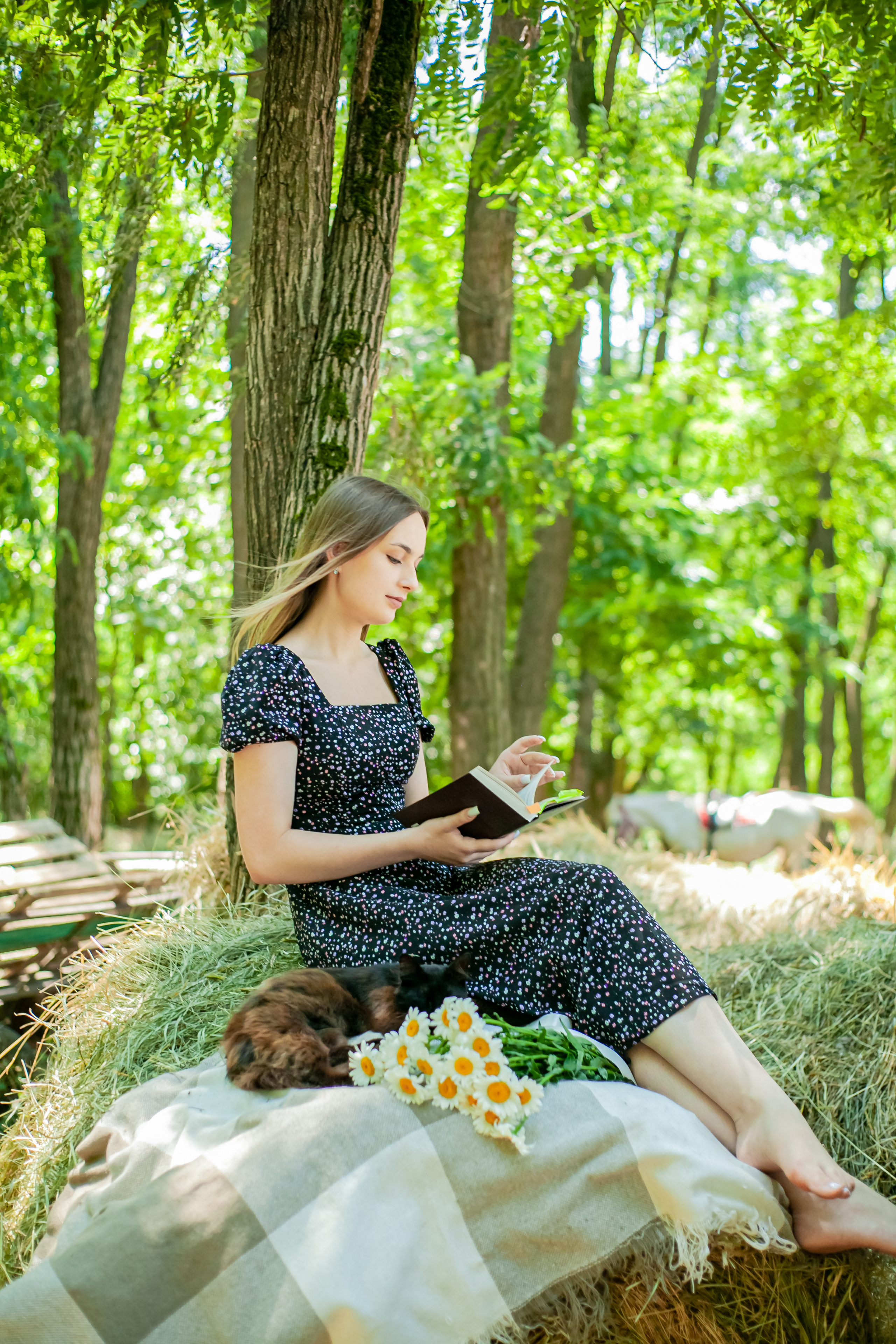 Прогулка с Лошадьми. Свадебный и семейный фотограф в Армавире