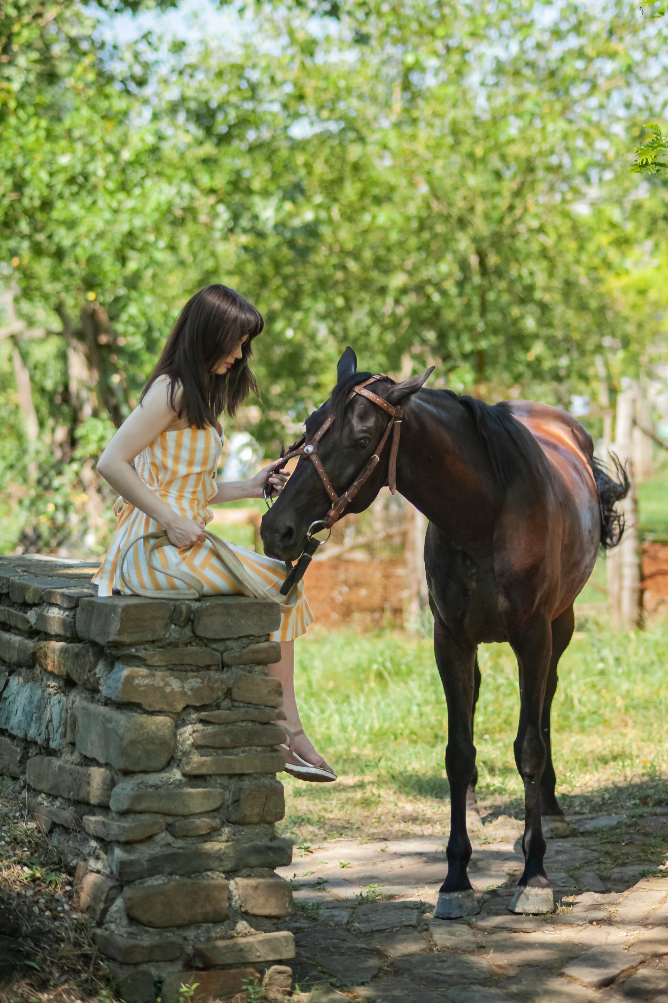 Прогулка с Лошадьми. Свадебный и семейный фотограф в Армавире