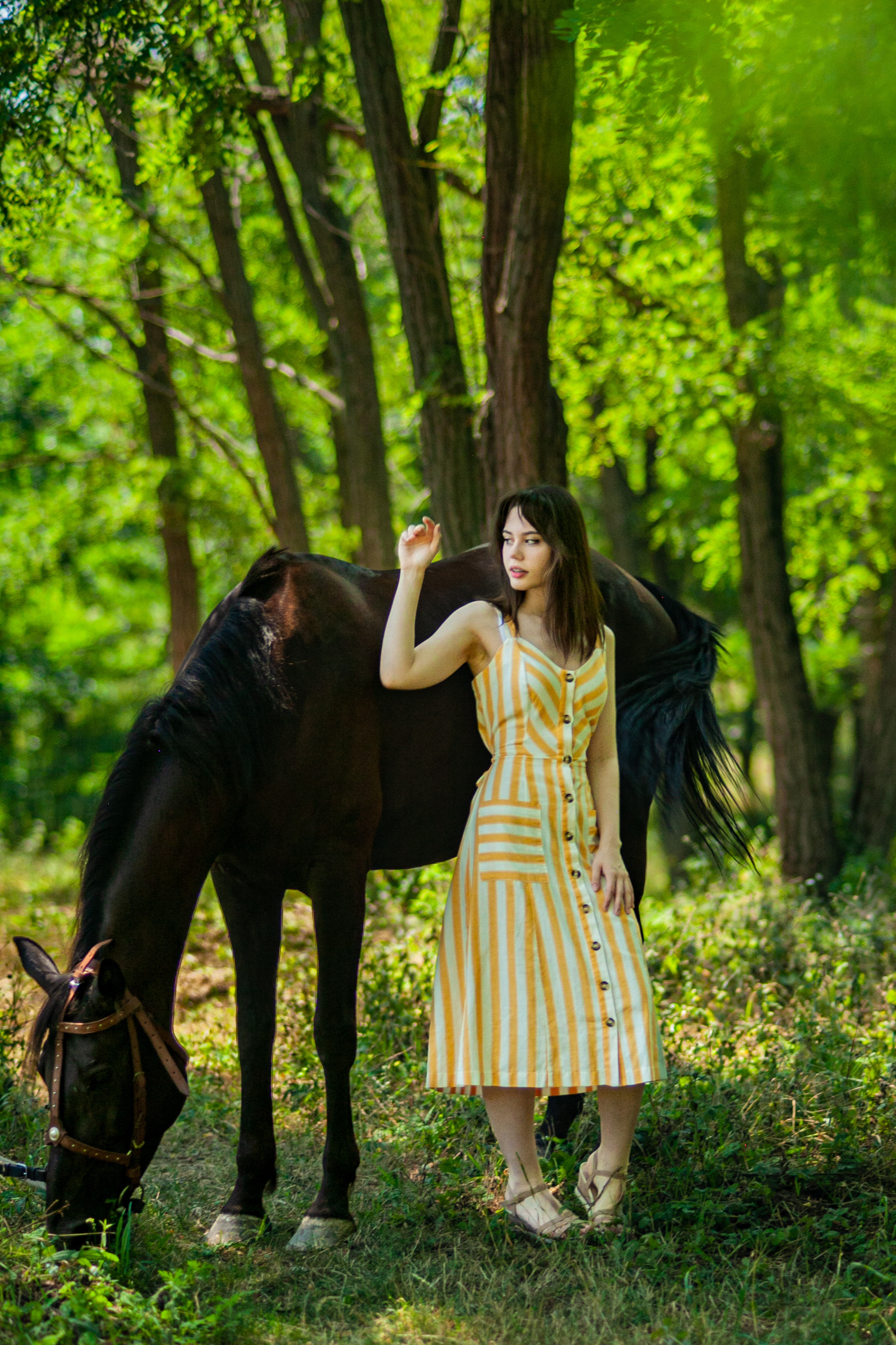 Прогулка с Лошадьми. Свадебный и семейный фотограф в Армавире