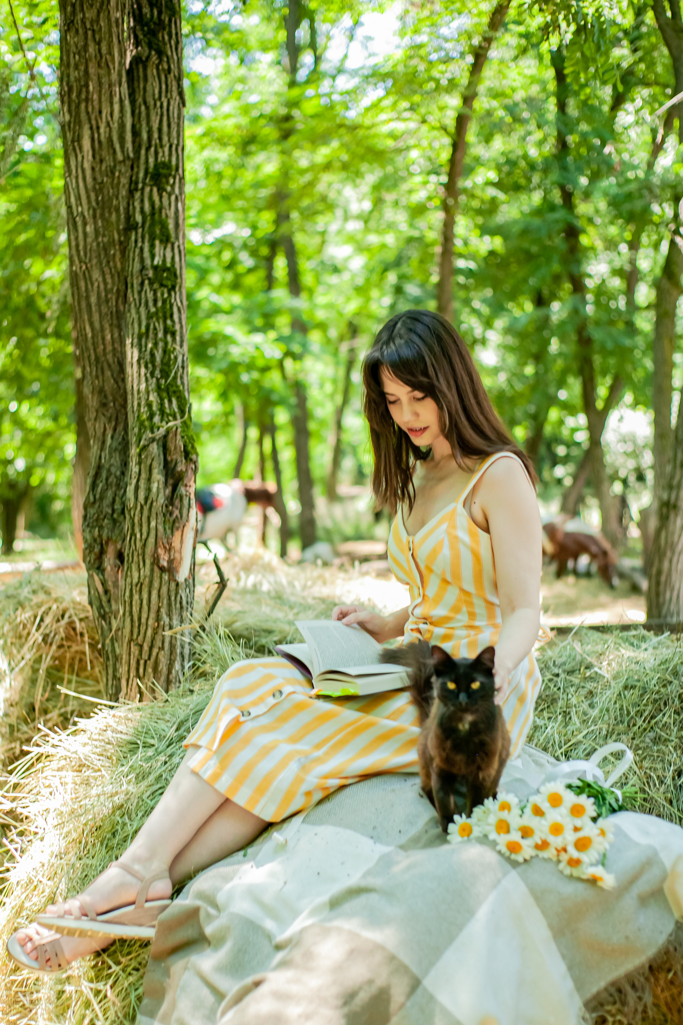 Прогулка с Лошадьми. Свадебный и семейный фотограф в Армавире