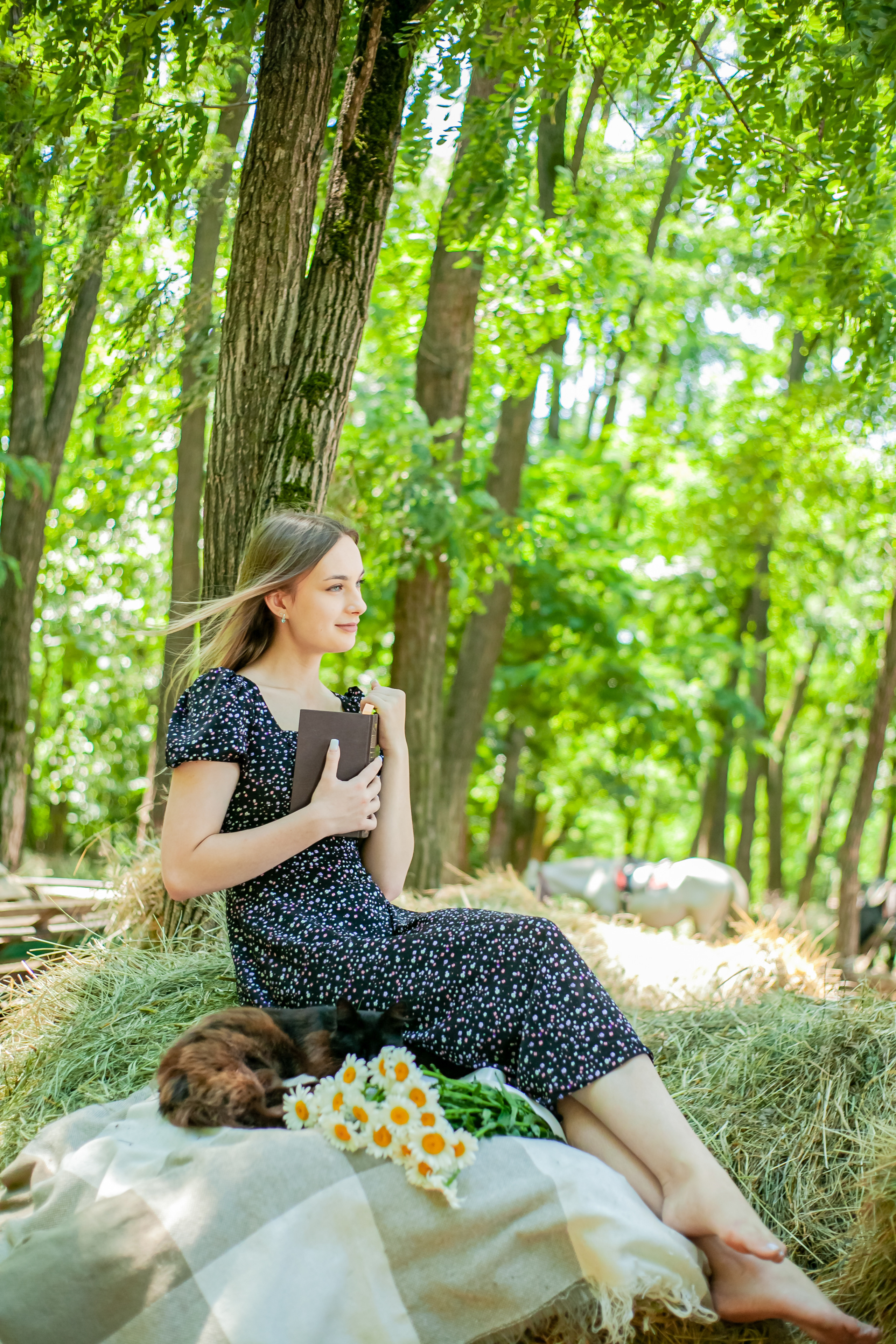 Прогулка с Лошадьми. Свадебный и семейный фотограф в Армавире