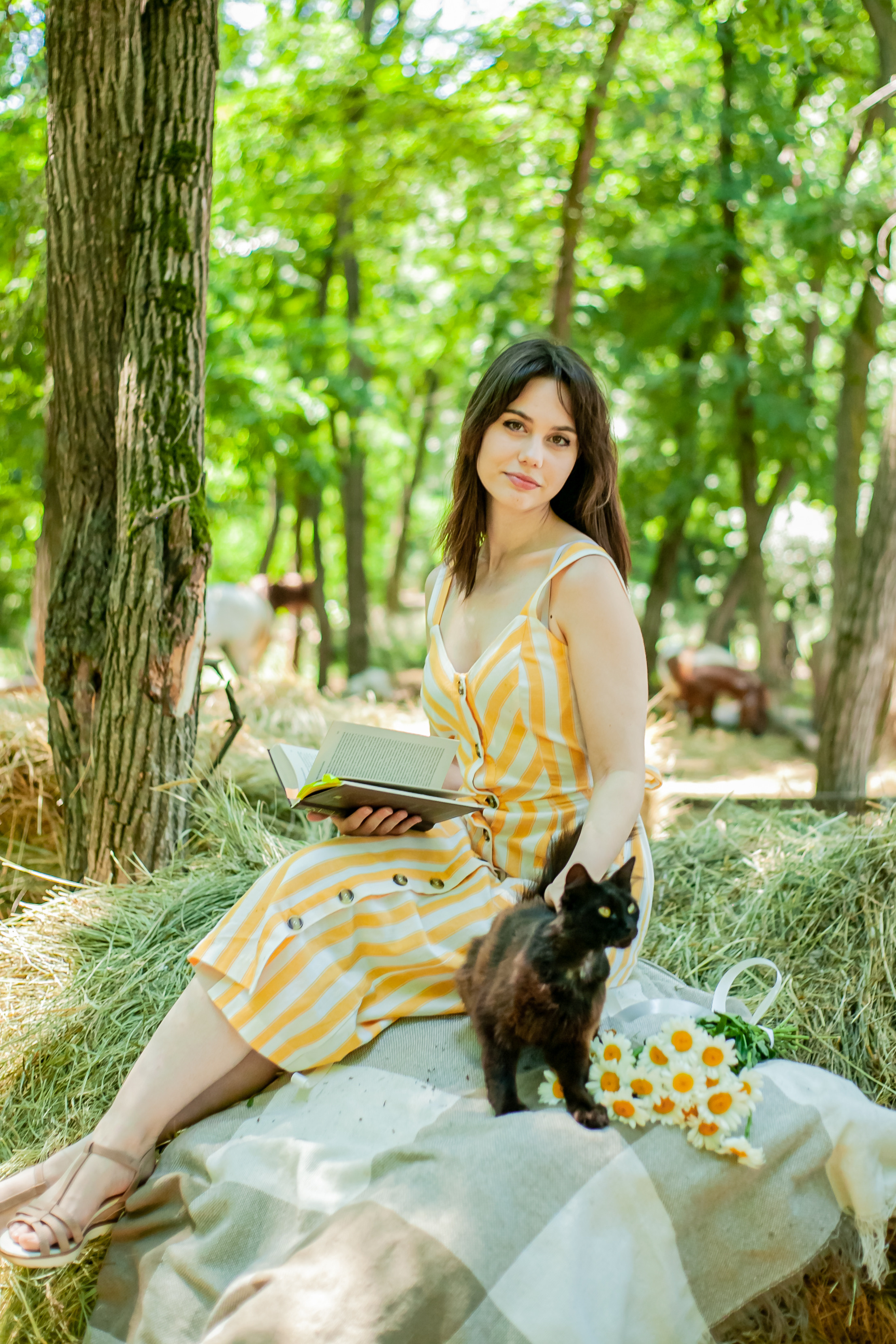 Прогулка с Лошадьми. Свадебный и семейный фотограф в Армавире