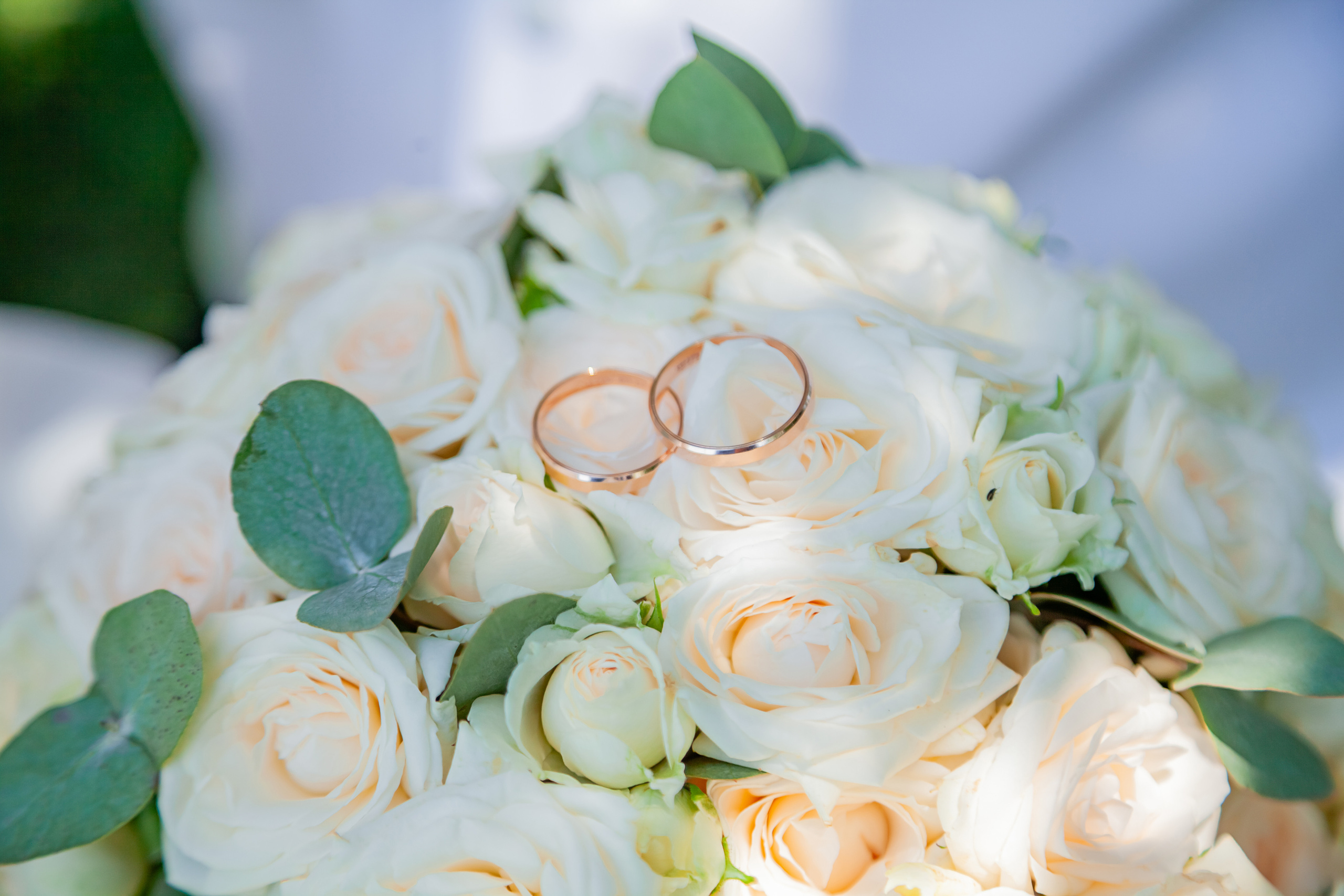 5.08.23. Свадебный и семейный фотограф в Армавире