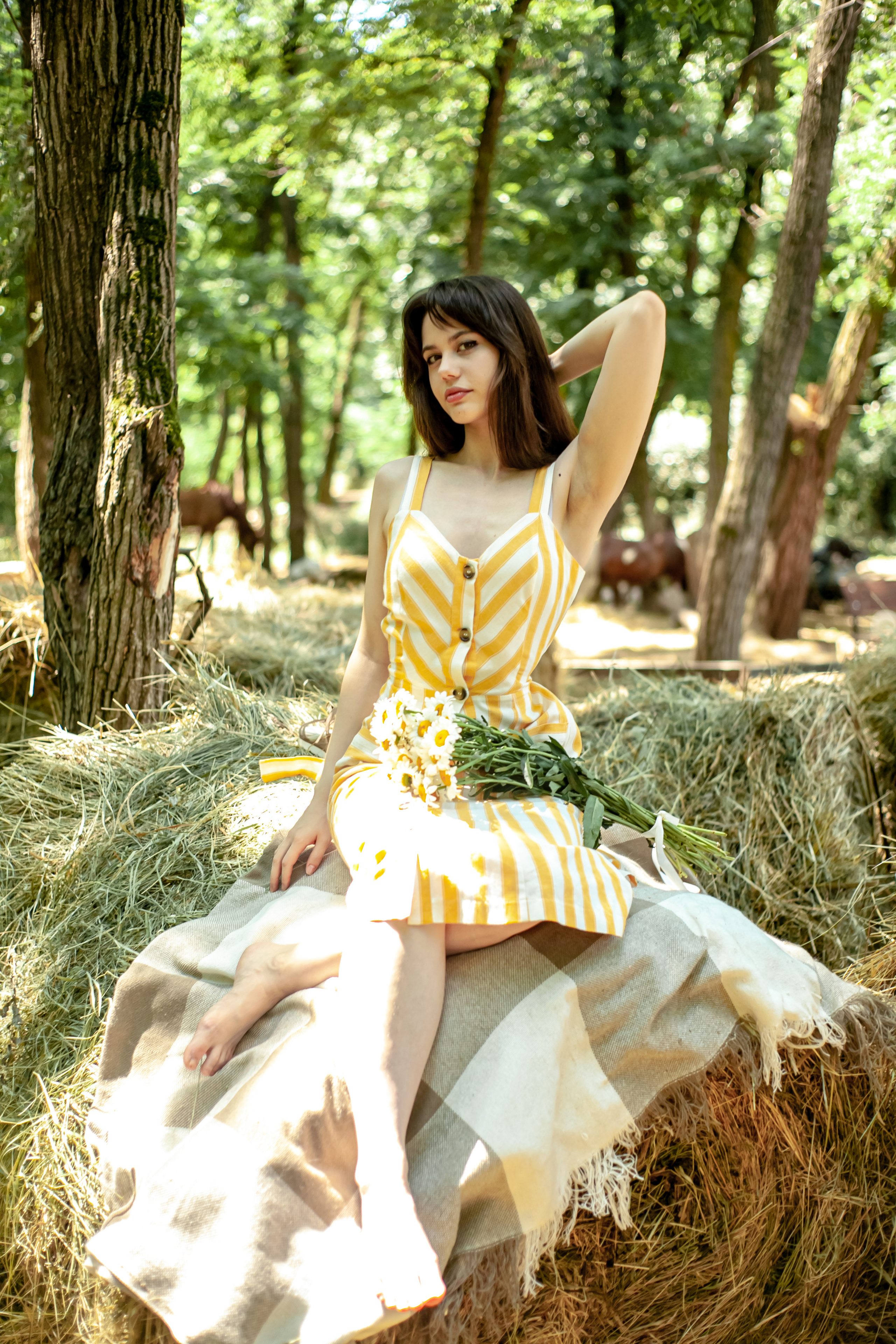 Прогулка с Лошадьми. Свадебный и семейный фотограф в Армавире