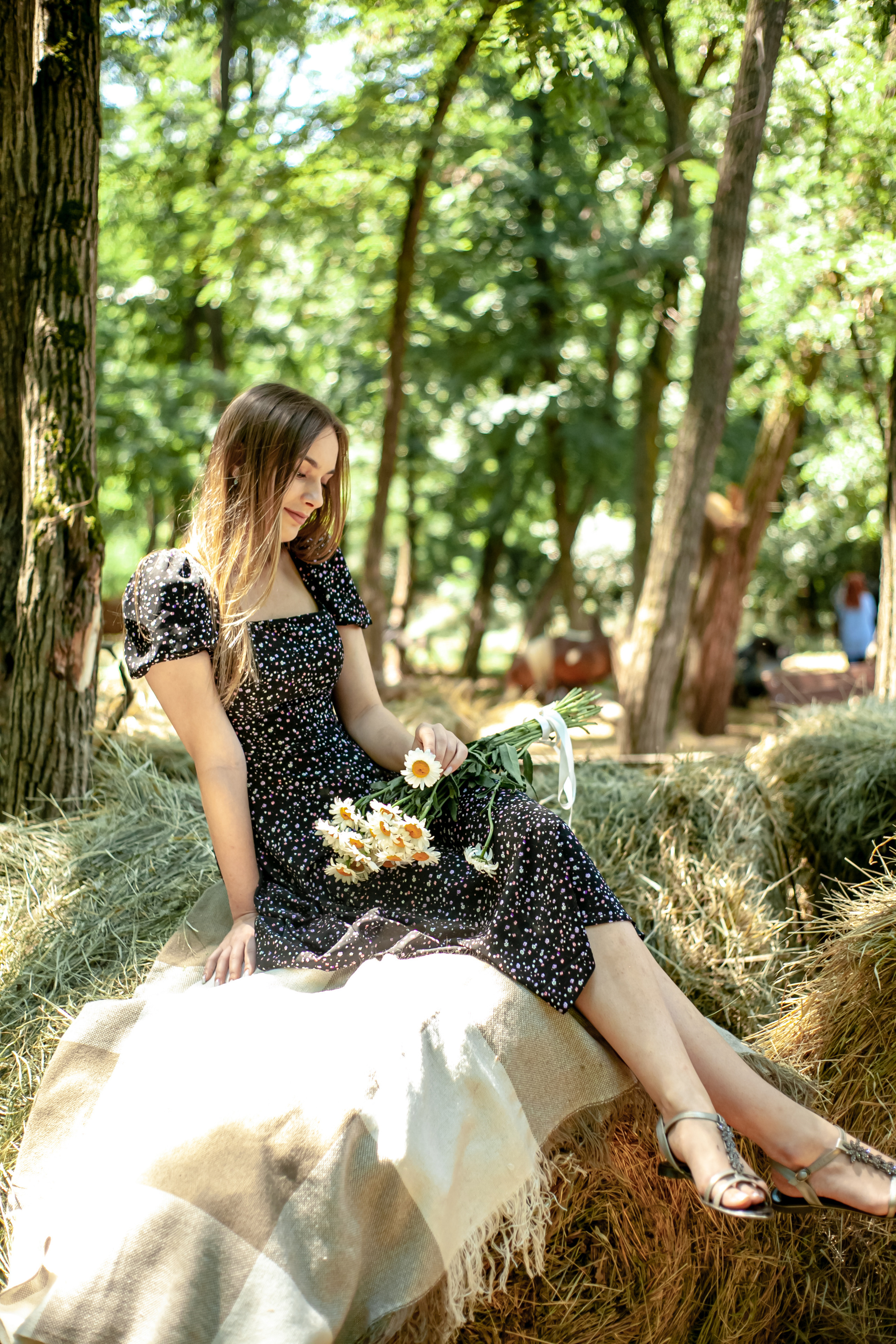 Прогулка с Лошадьми. Свадебный и семейный фотограф в Армавире