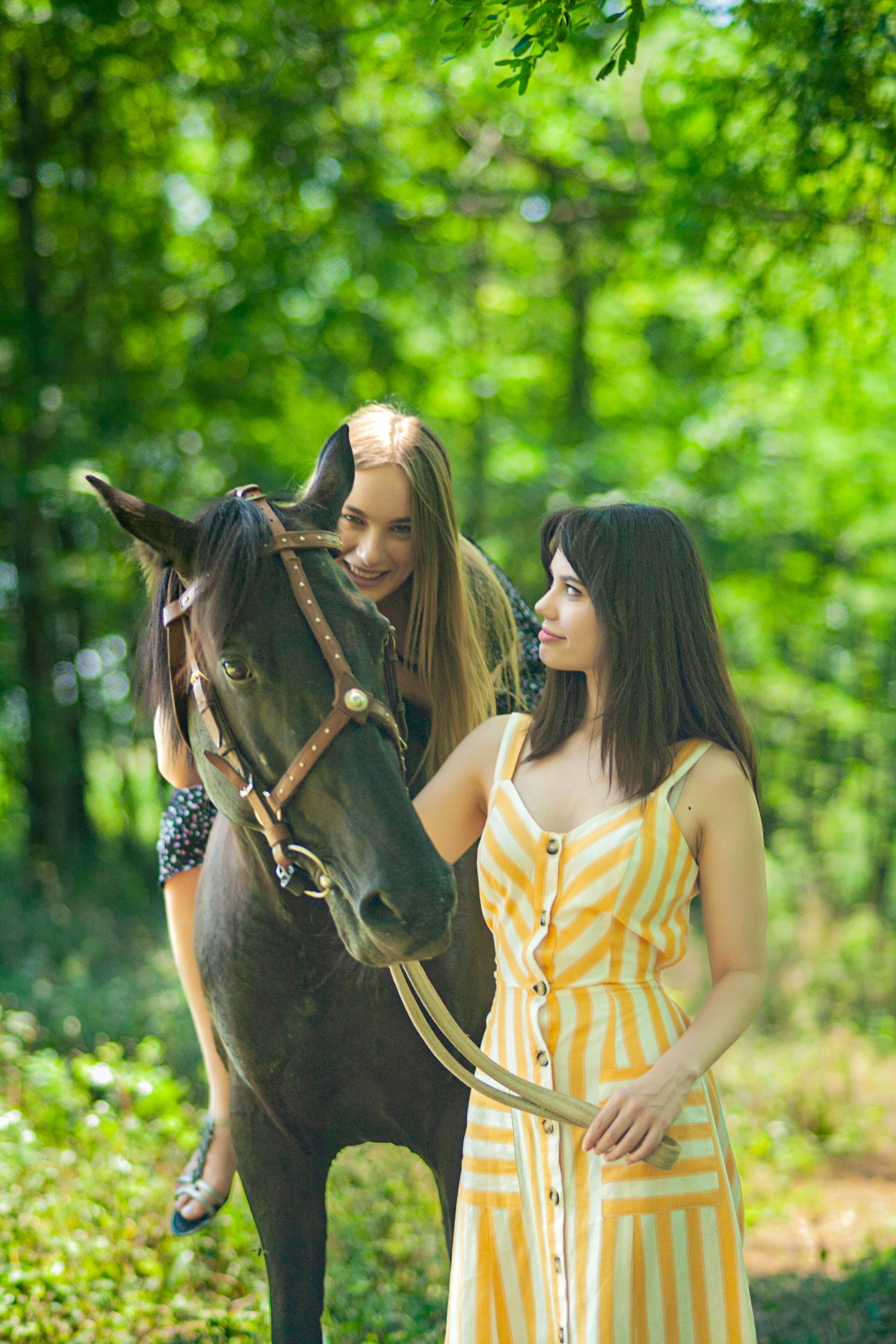 Прогулка с Лошадьми. Свадебный и семейный фотограф в Армавире
