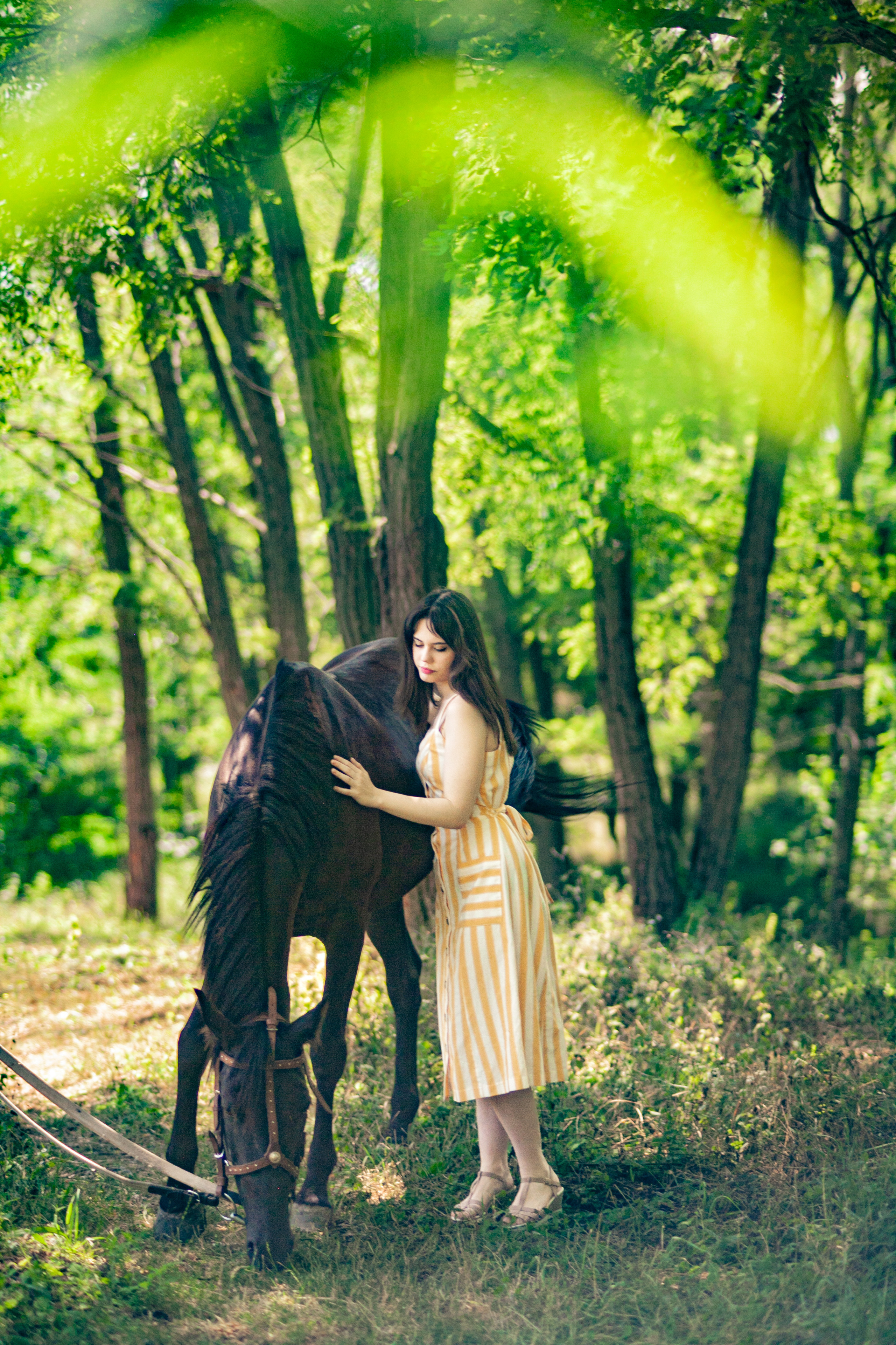 Прогулка с Лошадьми. Свадебный и семейный фотограф в Армавире