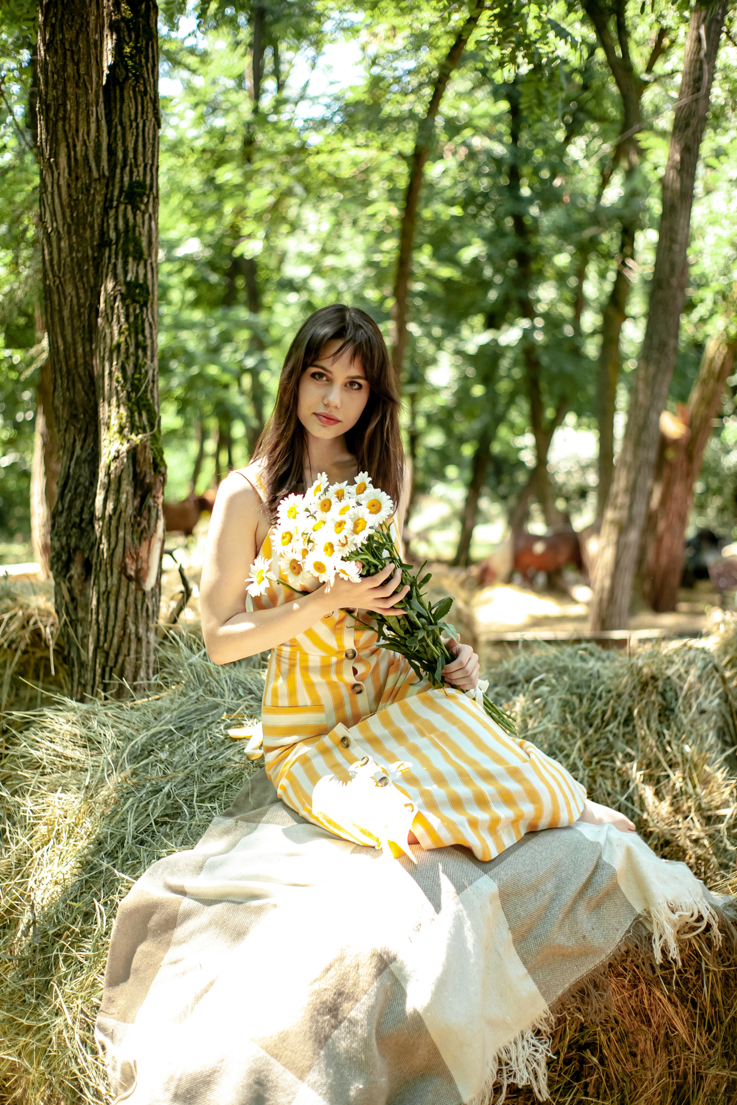 Прогулка с Лошадьми. Свадебный и семейный фотограф в Армавире