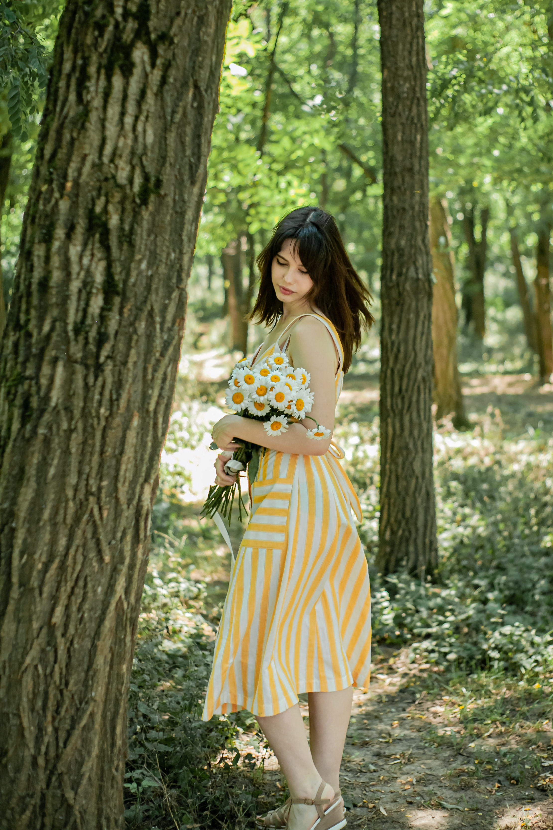 Прогулка с Лошадьми