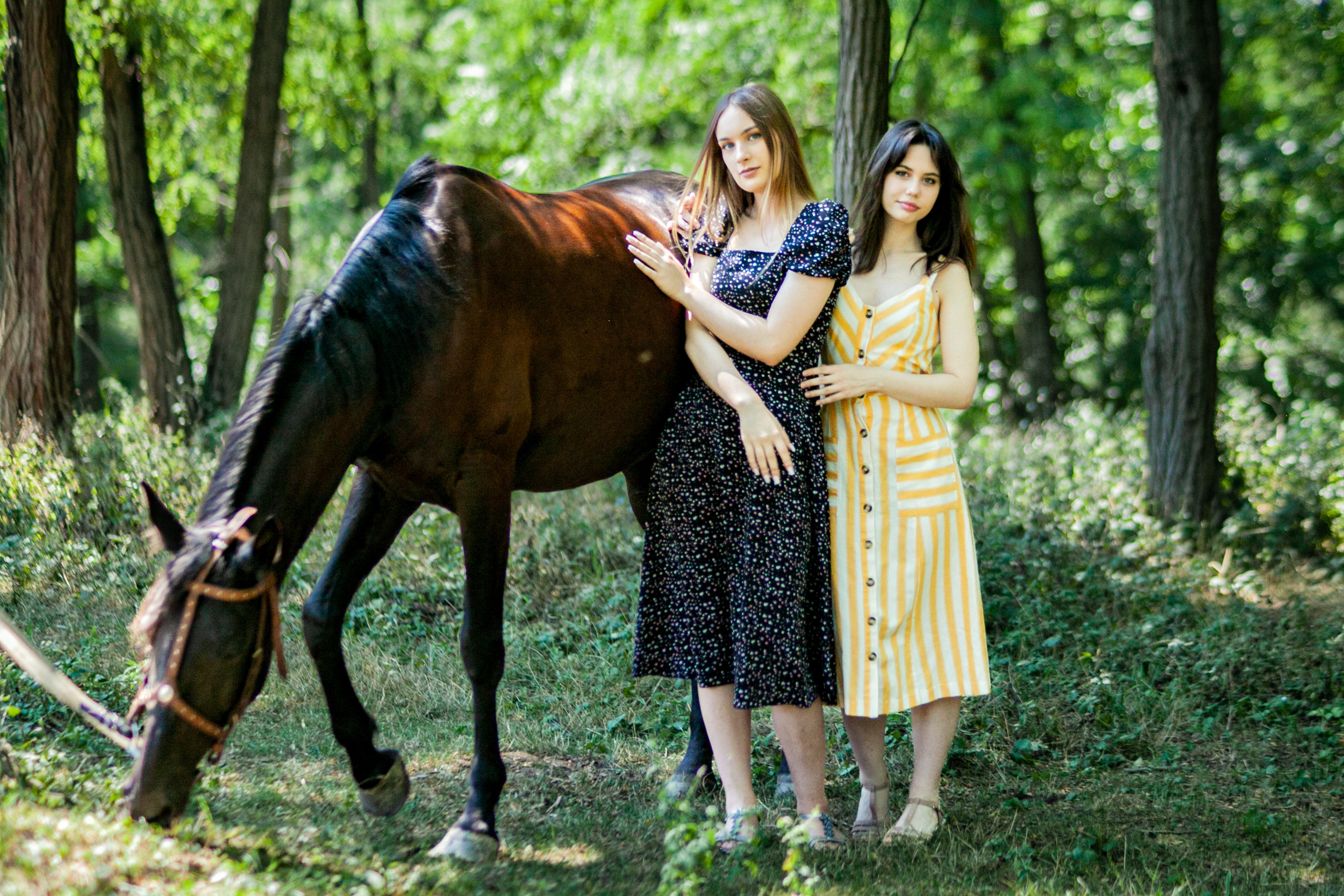 Прогулка с Лошадьми. Свадебный и семейный фотограф в Армавире