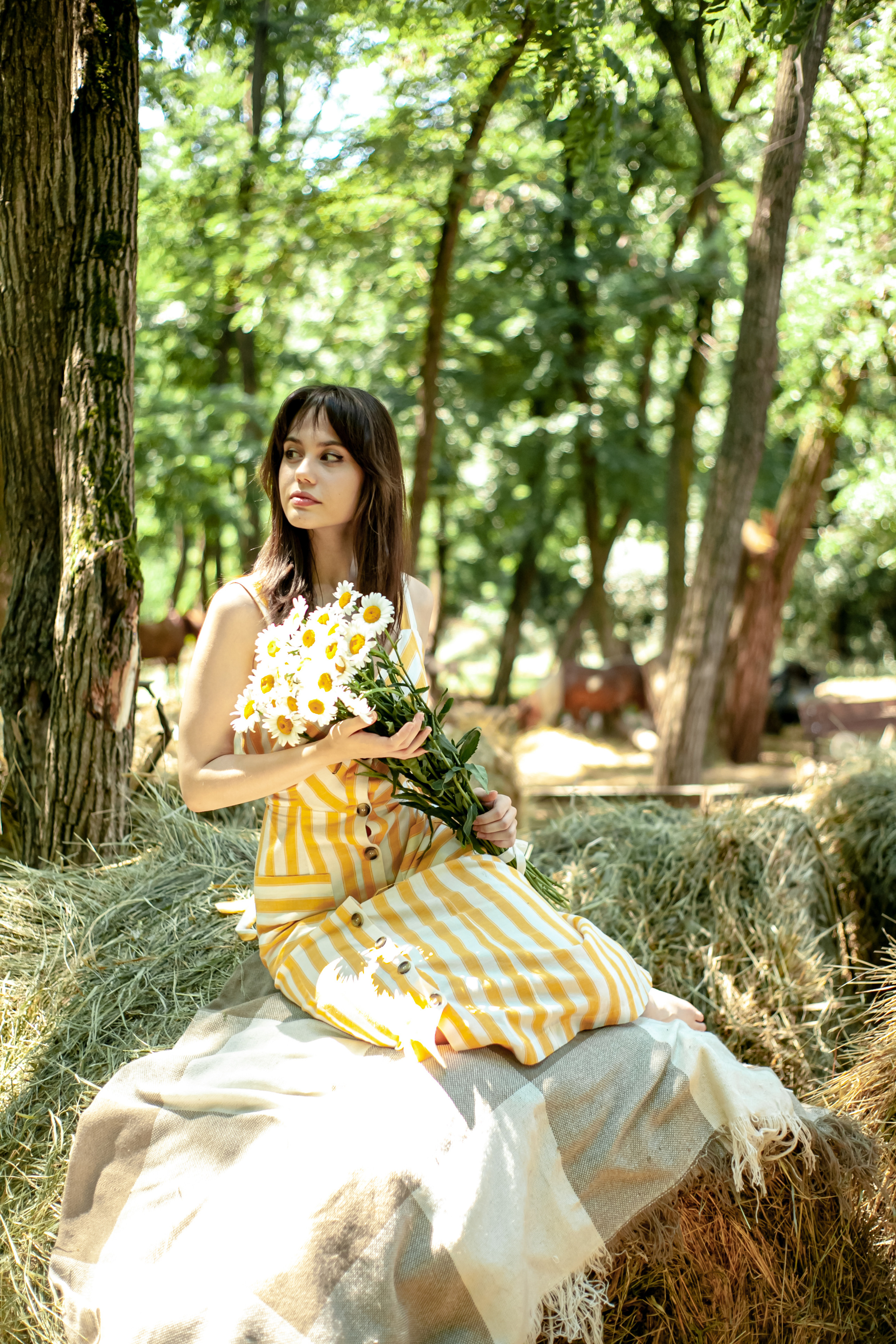 Прогулка с Лошадьми. Свадебный и семейный фотограф в Армавире