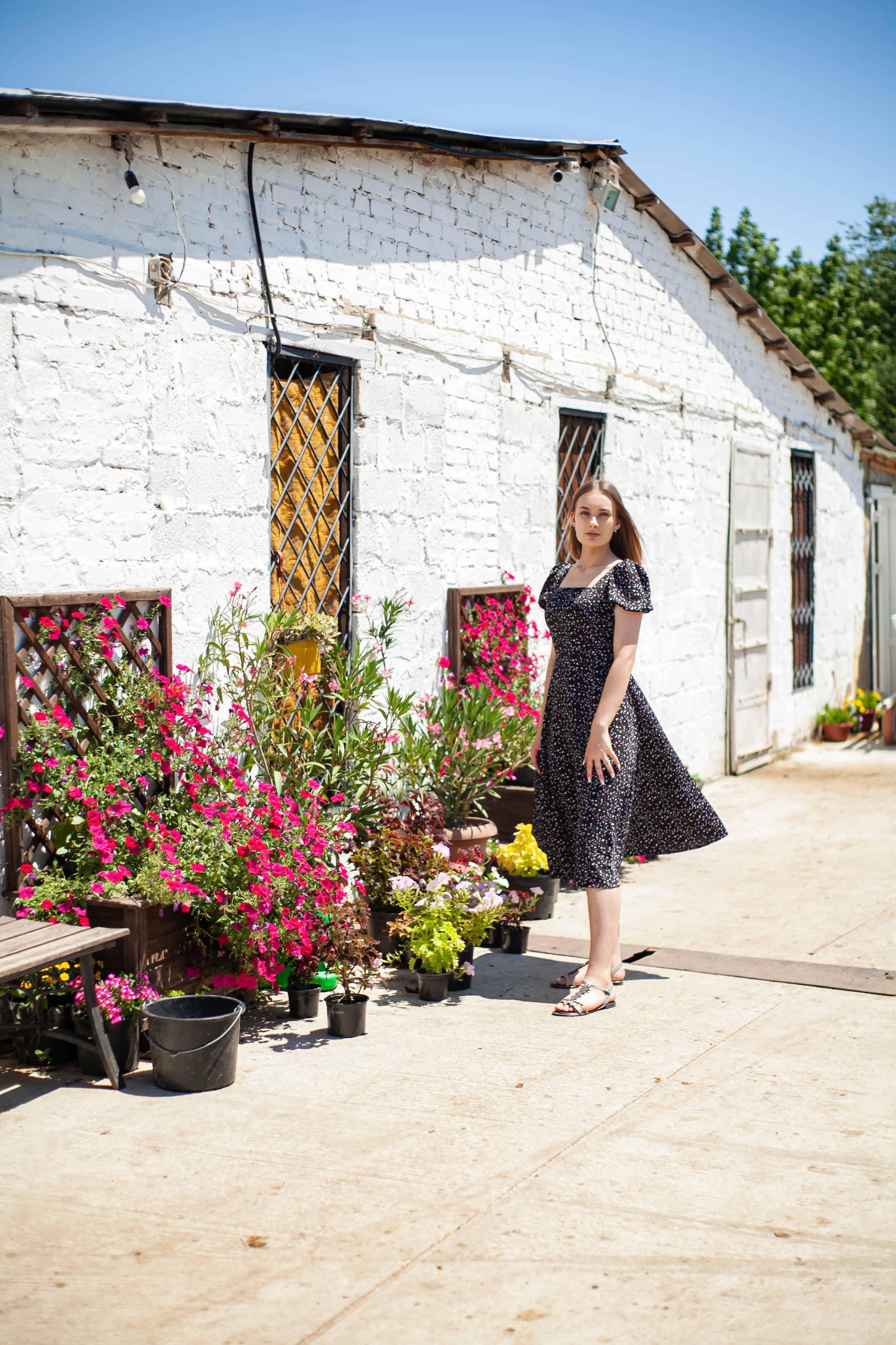 Прогулка с Лошадьми. Свадебный и семейный фотограф в Армавире