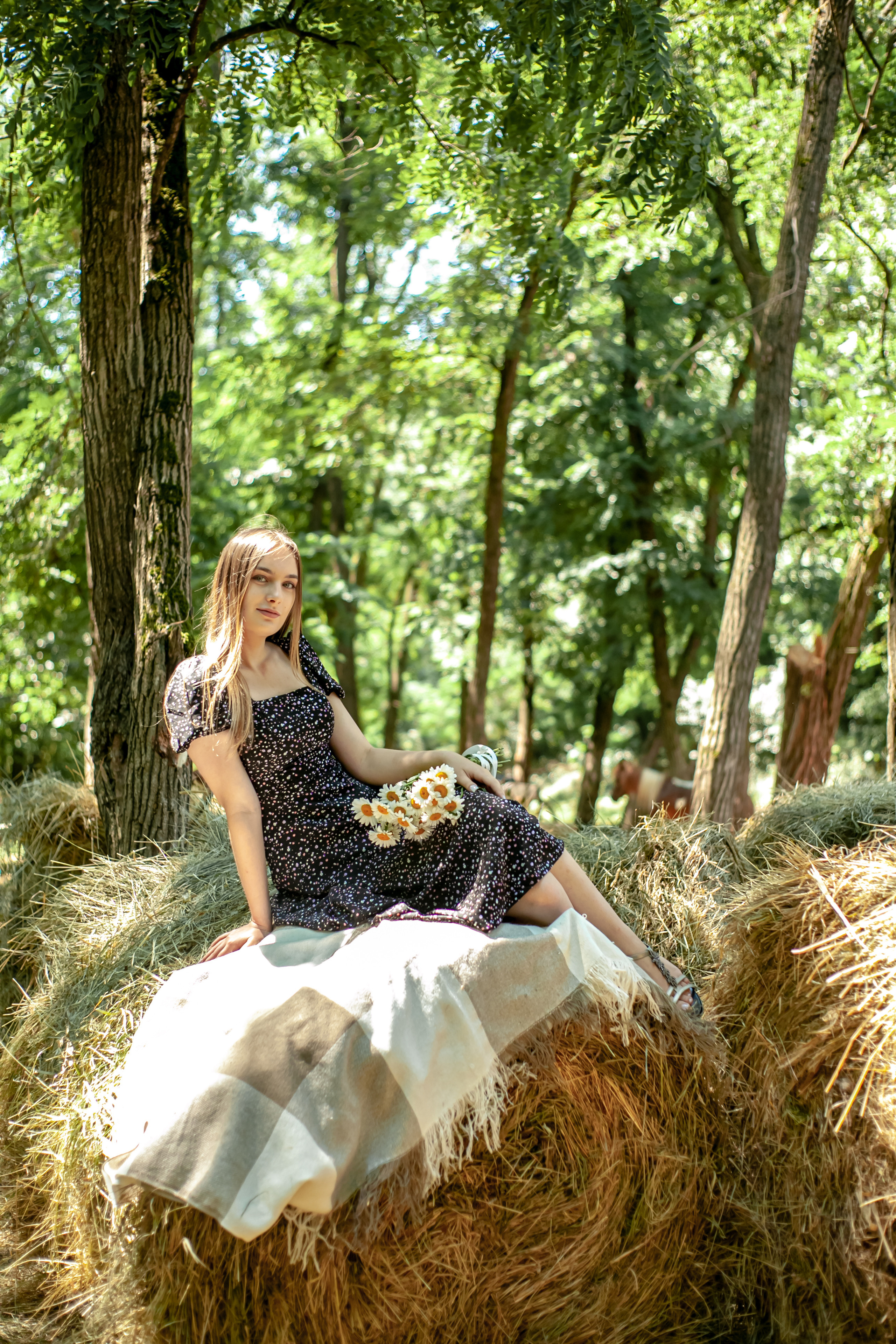 Прогулка с Лошадьми. Свадебный и семейный фотограф в Армавире