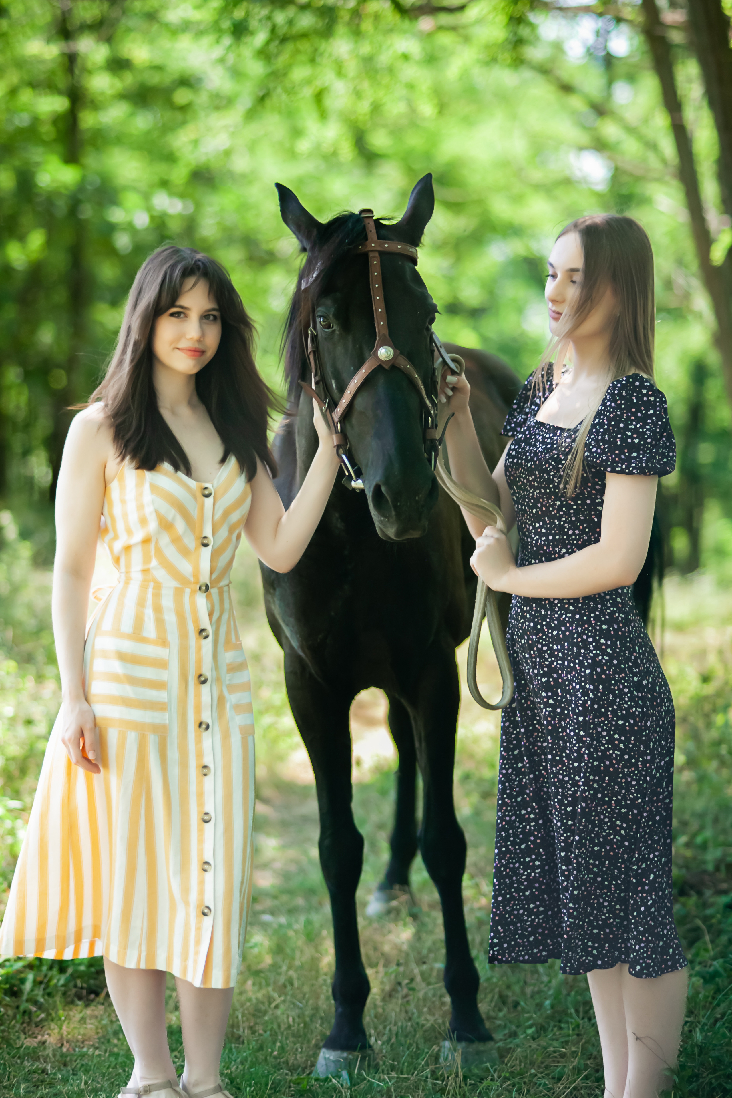 Прогулка с Лошадьми. Свадебный и семейный фотограф в Армавире