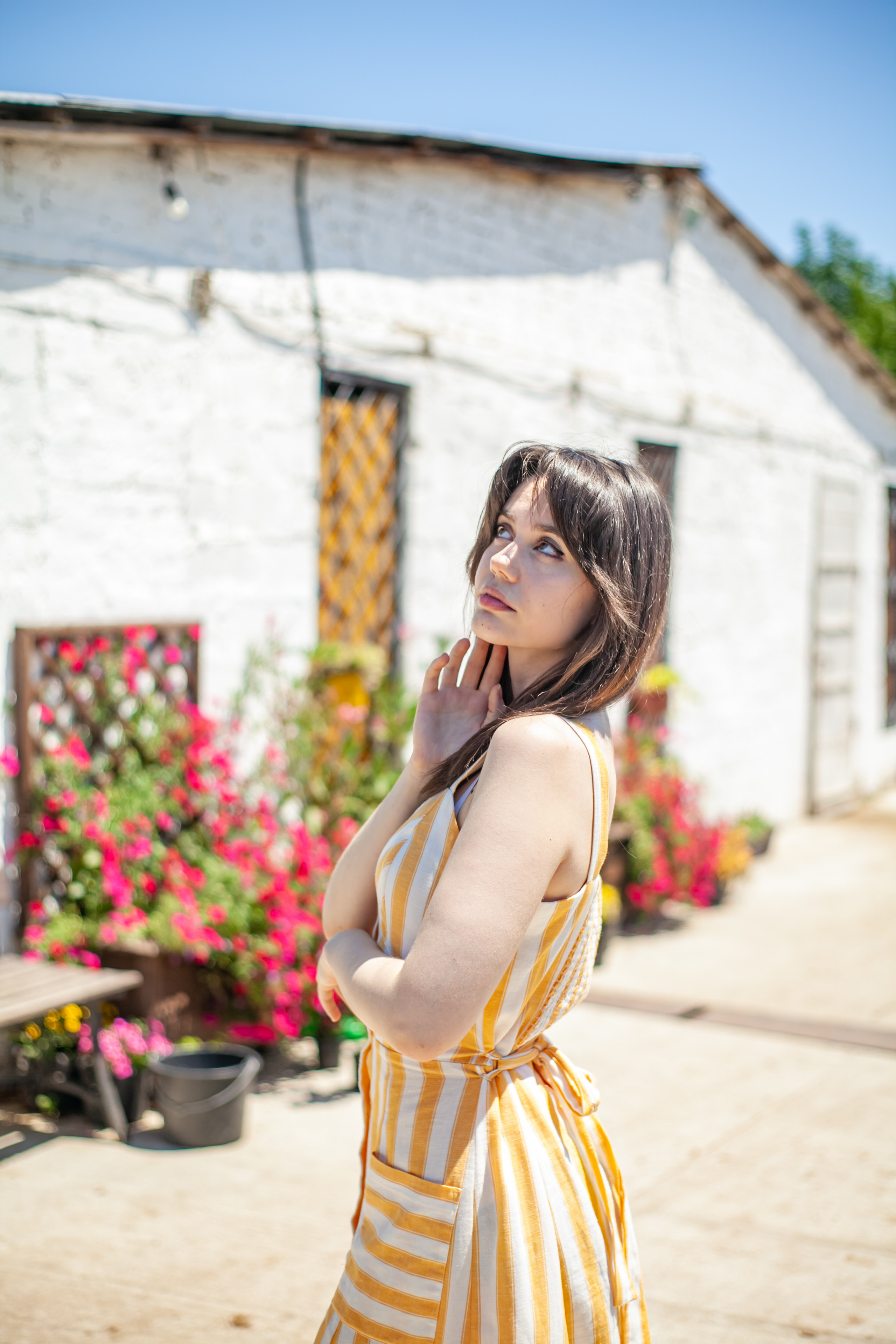 Прогулка с Лошадьми. Свадебный и семейный фотограф в Армавире