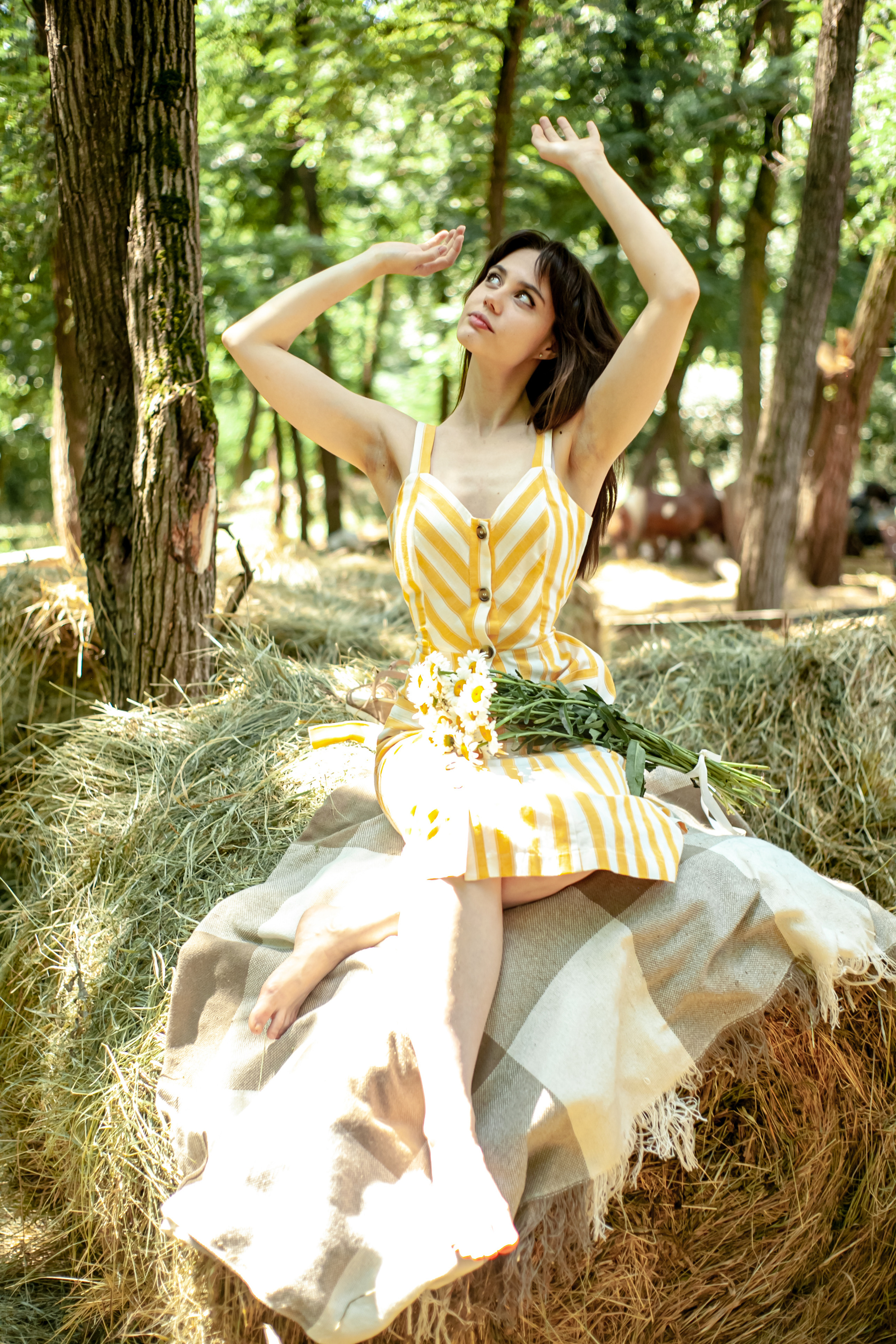 Прогулка с Лошадьми. Свадебный и семейный фотограф в Армавире