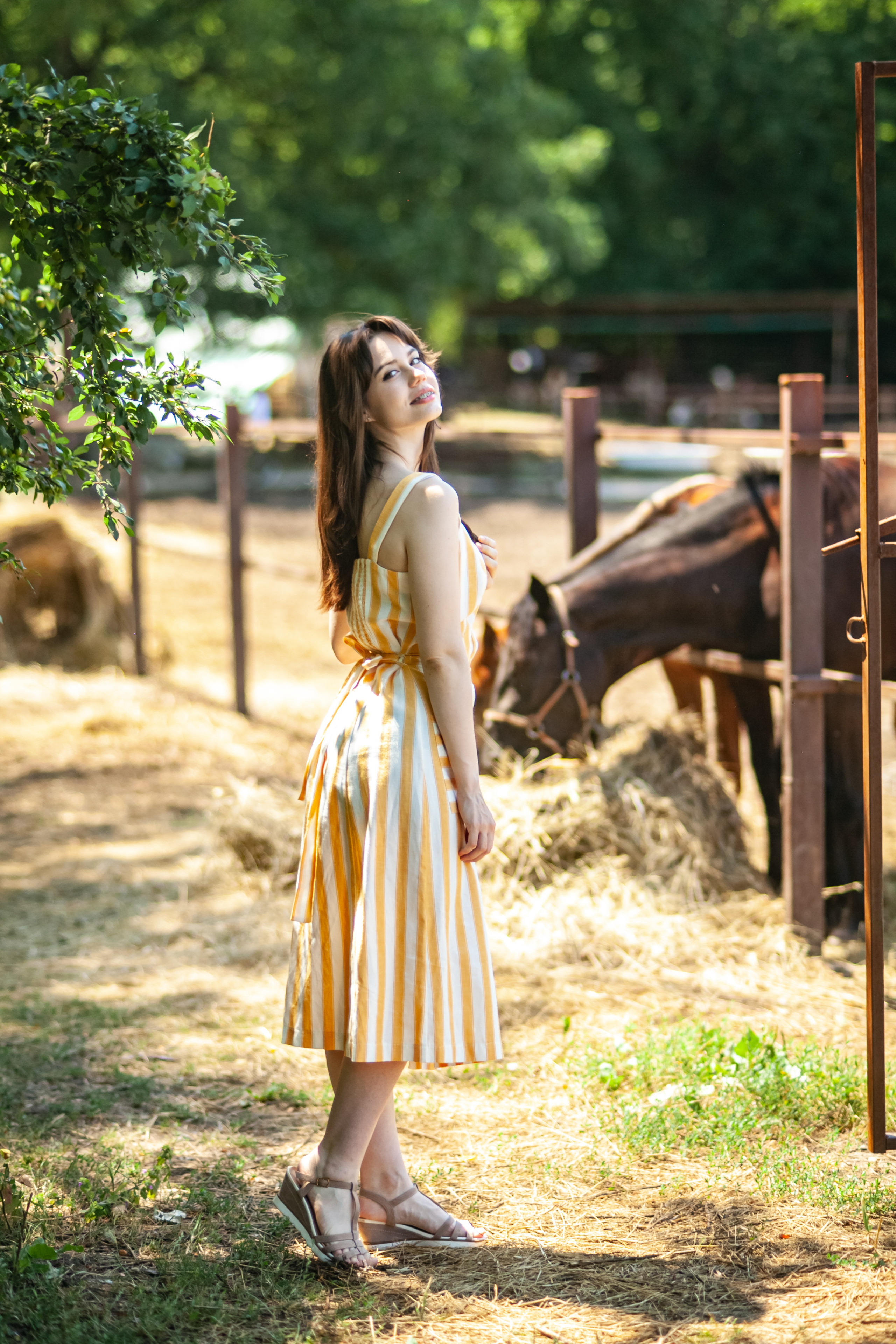 Прогулка с Лошадьми. Свадебный и семейный фотограф в Армавире