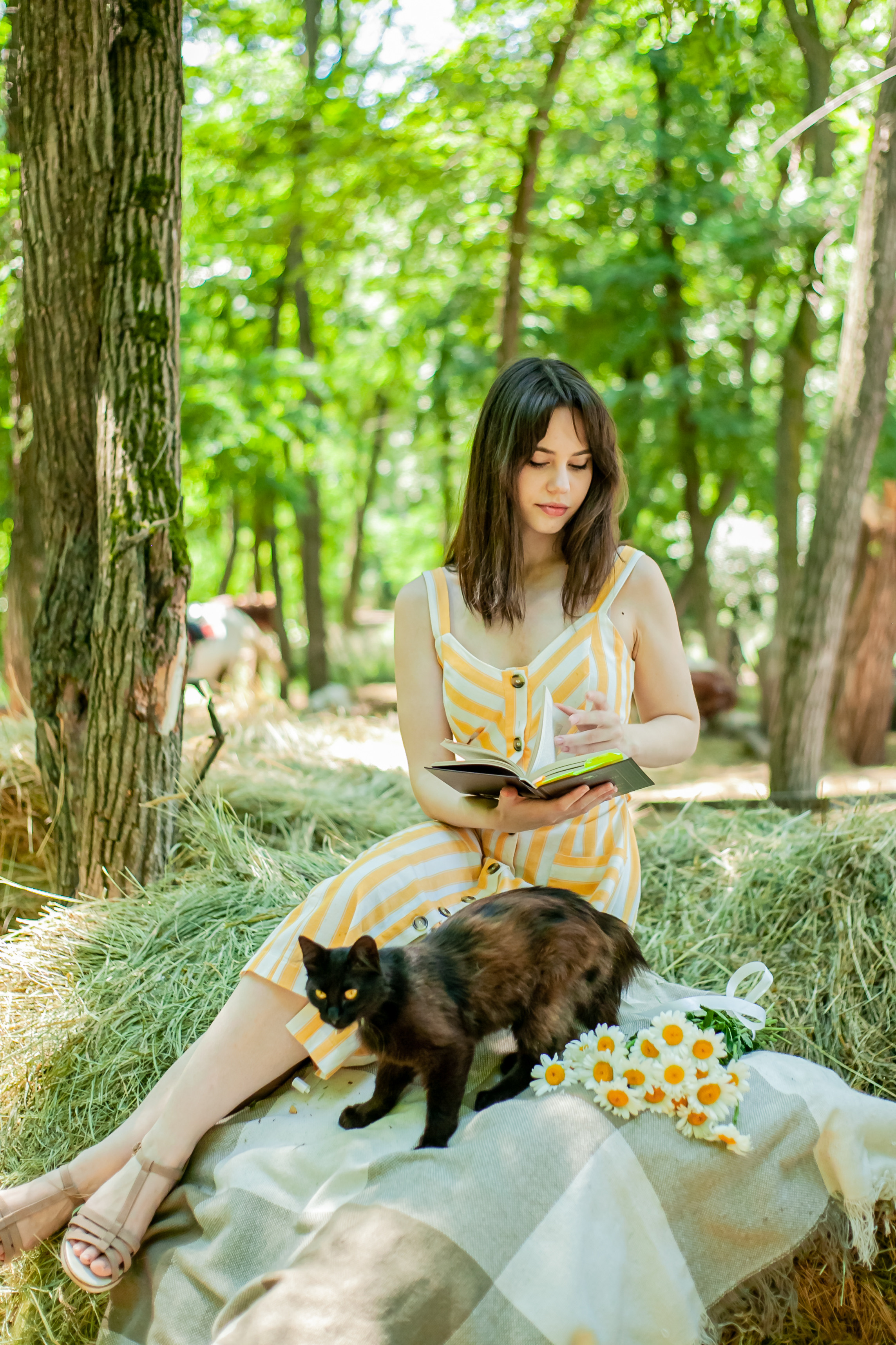 Прогулка с Лошадьми. Свадебный и семейный фотограф в Армавире