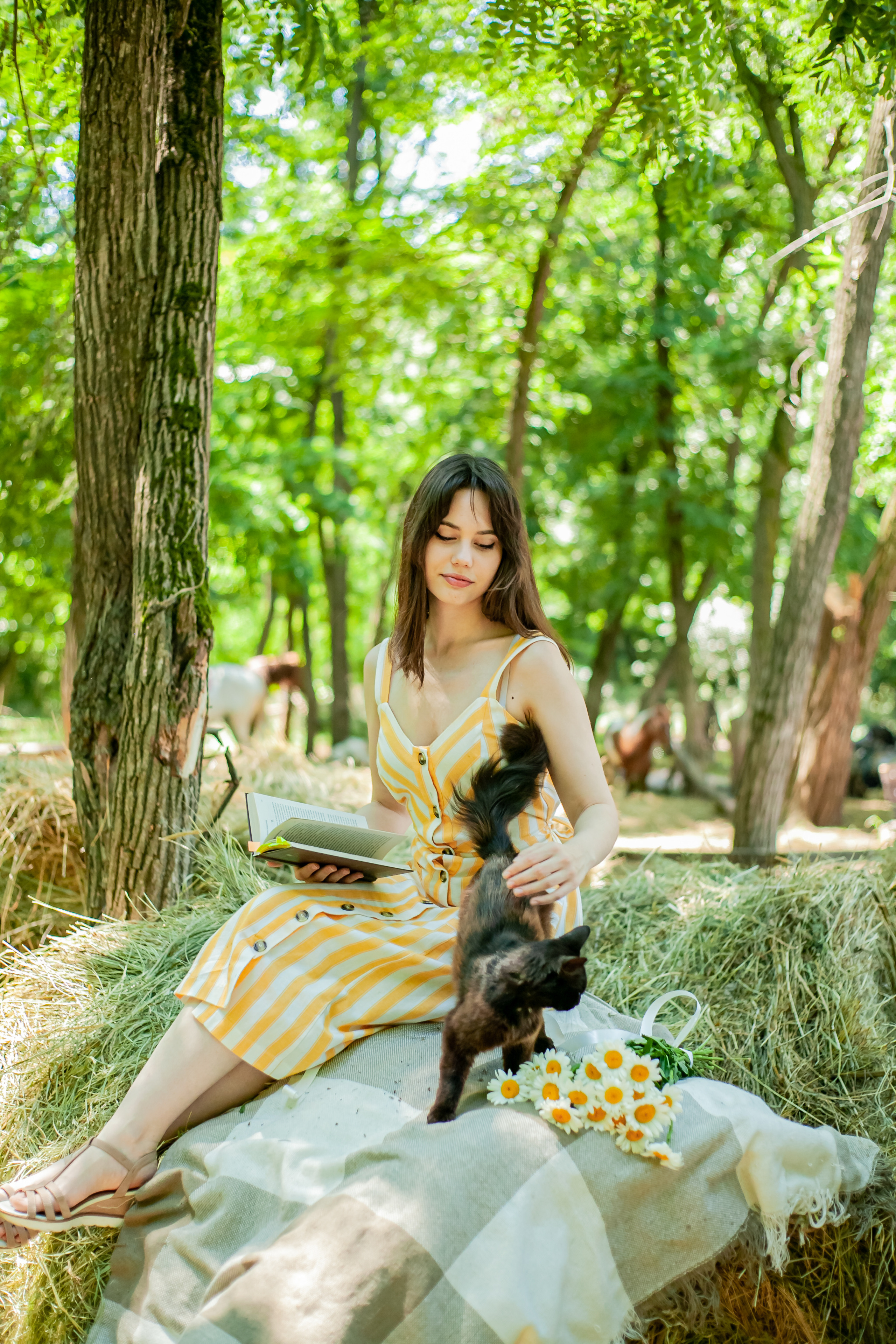 Прогулка с Лошадьми. Свадебный и семейный фотограф в Армавире