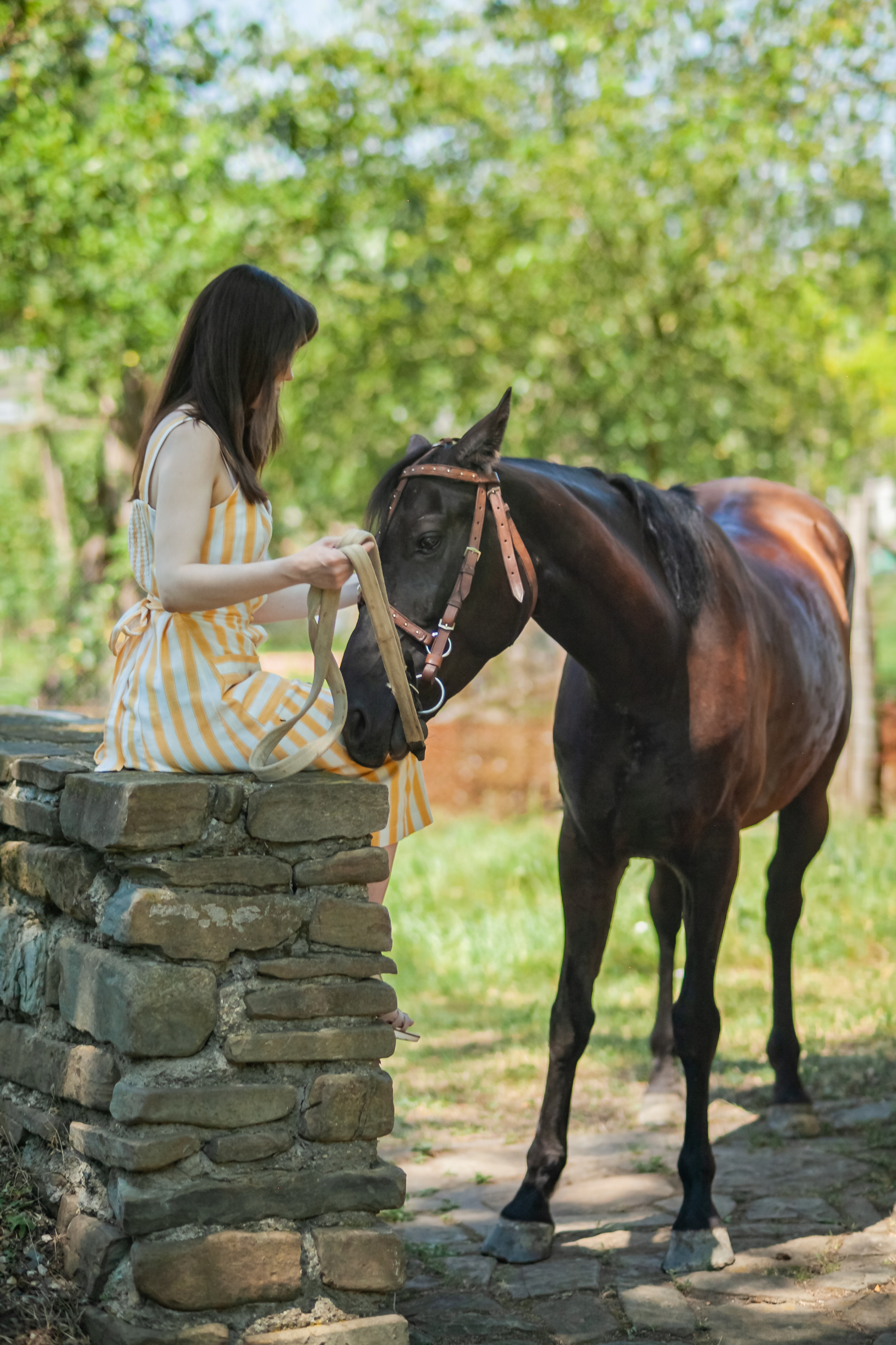 Прогулка с Лошадьми. Свадебный и семейный фотограф в Армавире
