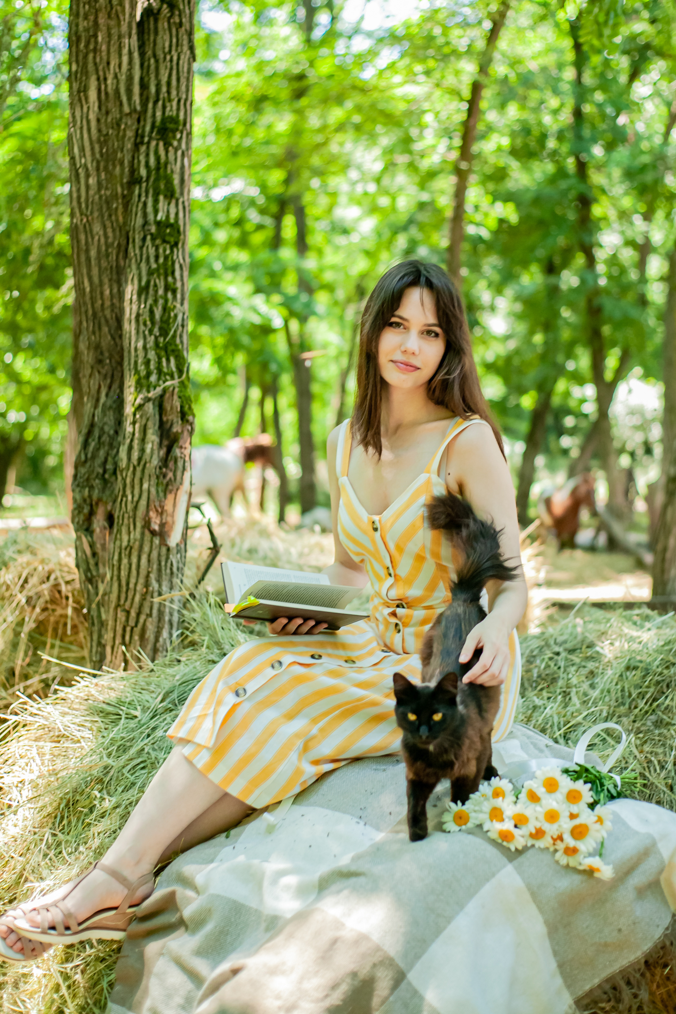 Прогулка с Лошадьми. Свадебный и семейный фотограф в Армавире