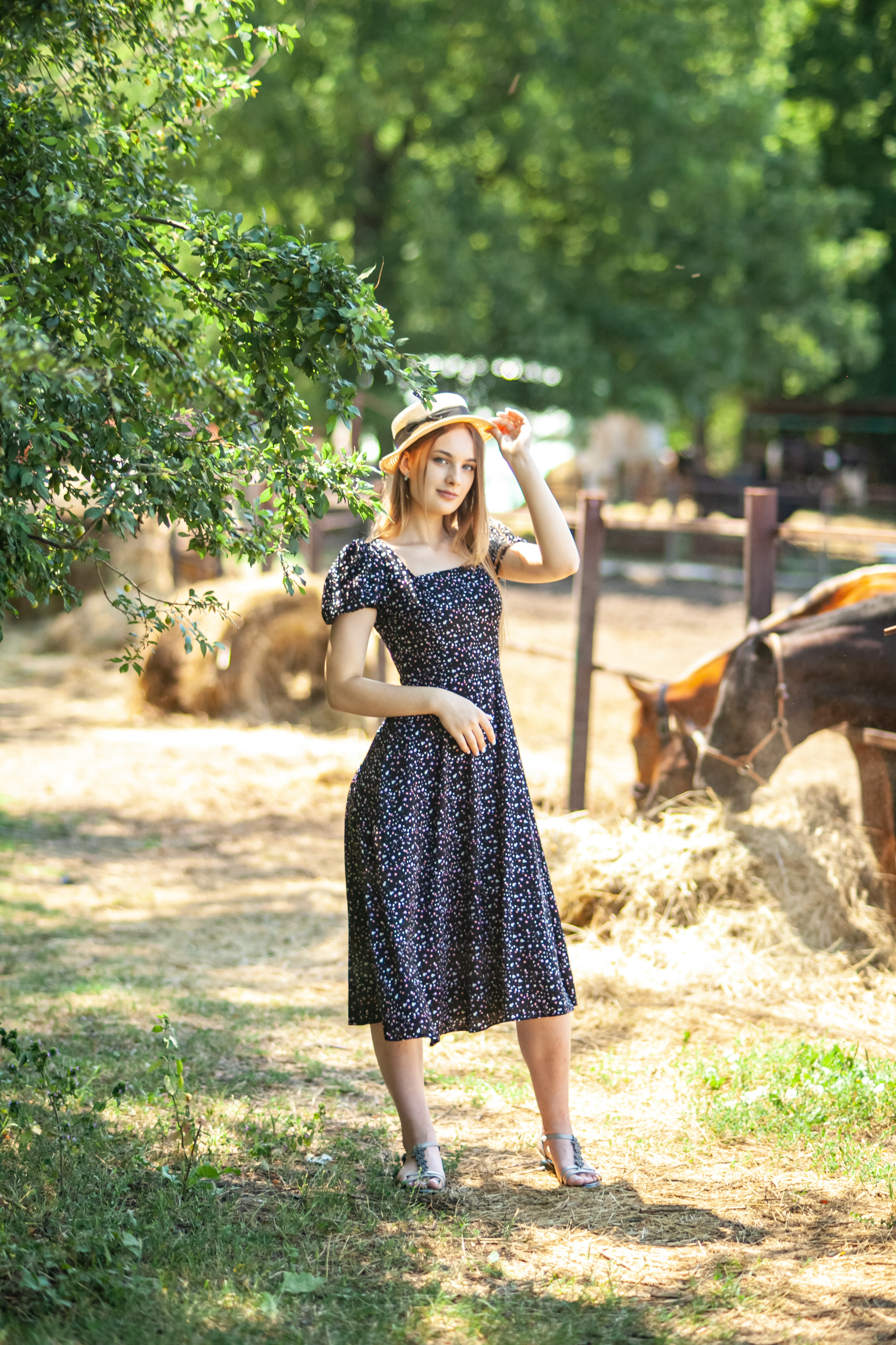 Прогулка с Лошадьми. Свадебный и семейный фотограф в Армавире