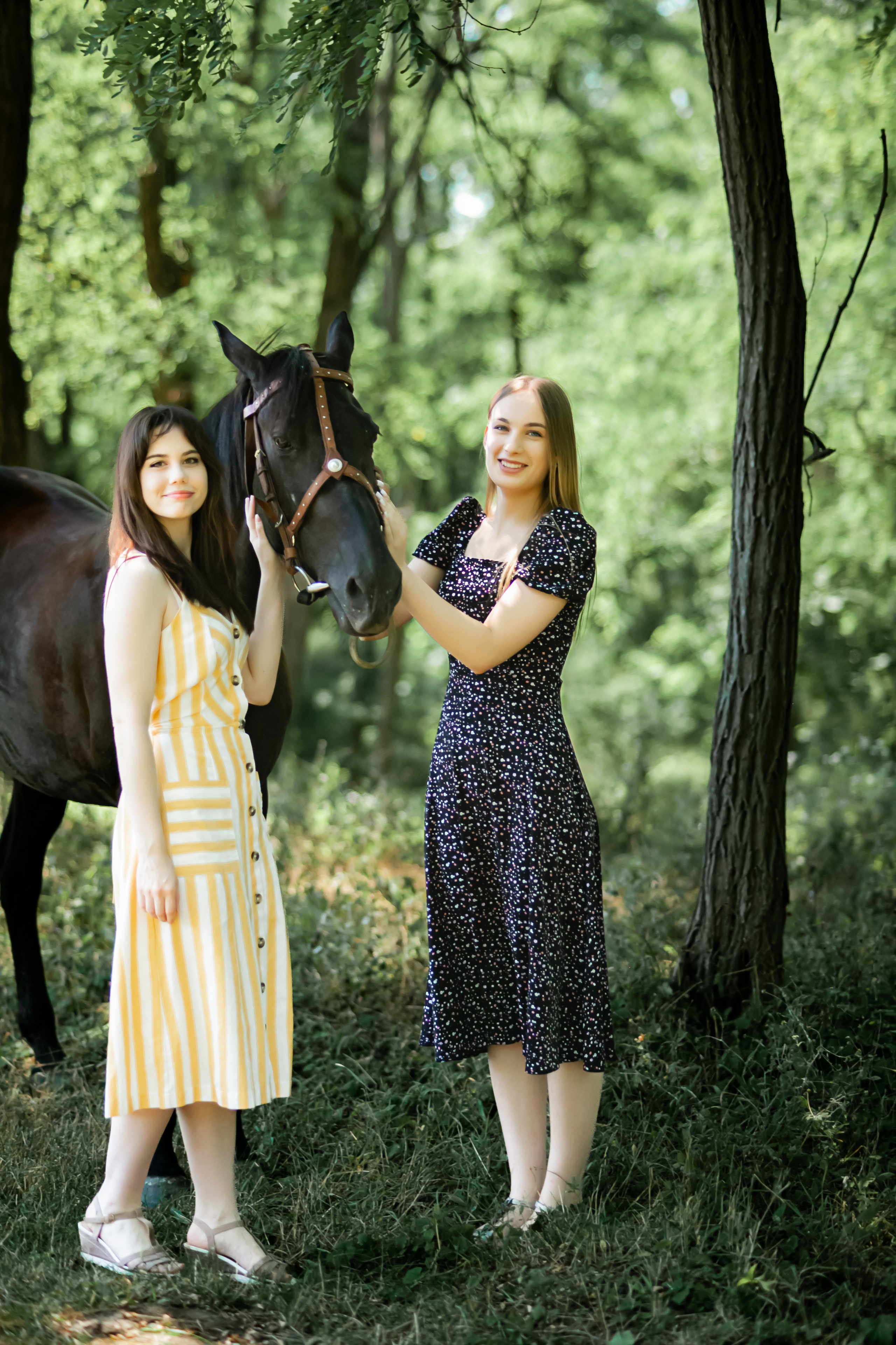 Прогулка с Лошадьми. Свадебный и семейный фотограф в Армавире