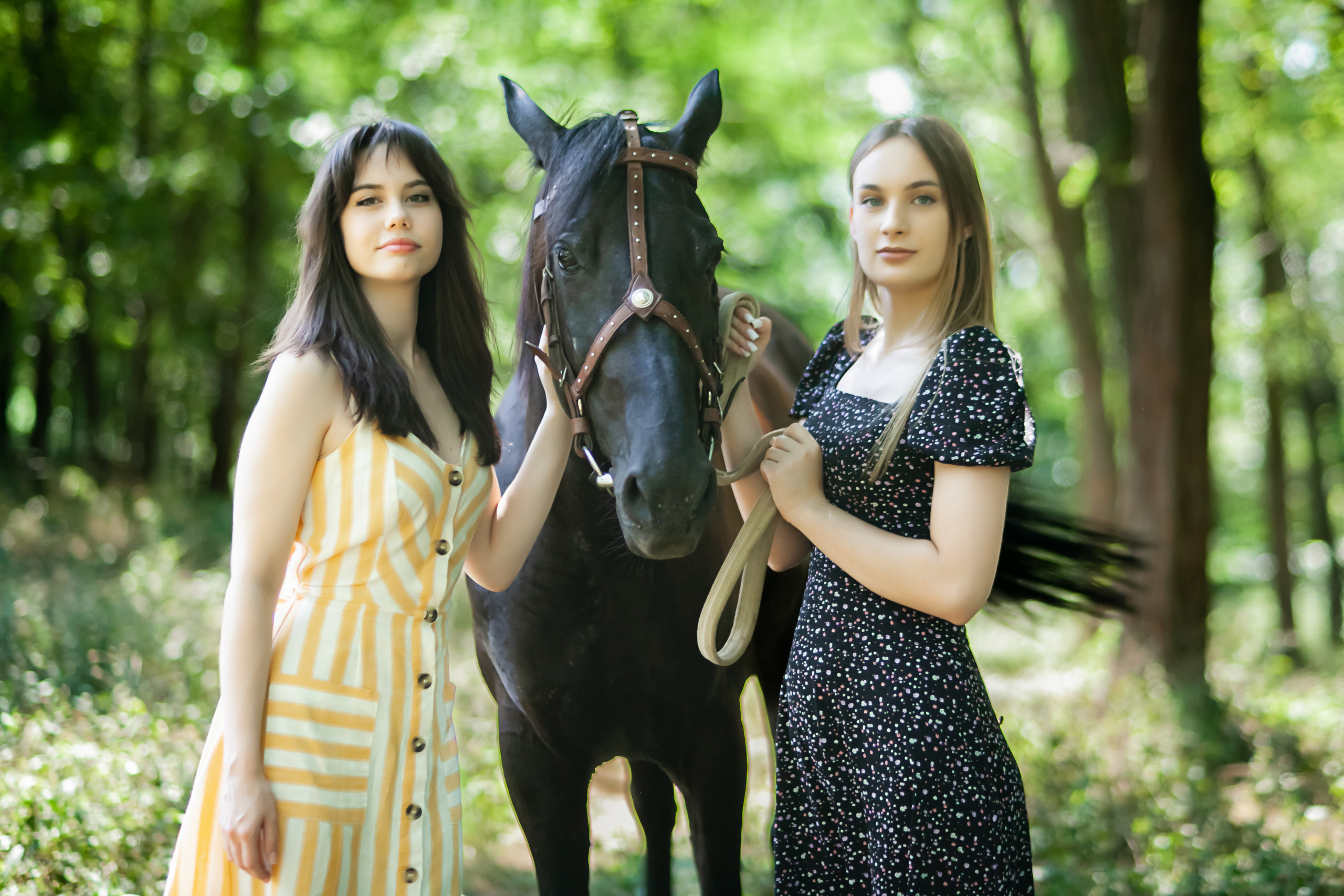 Прогулка с Лошадьми. Свадебный и семейный фотограф в Армавире