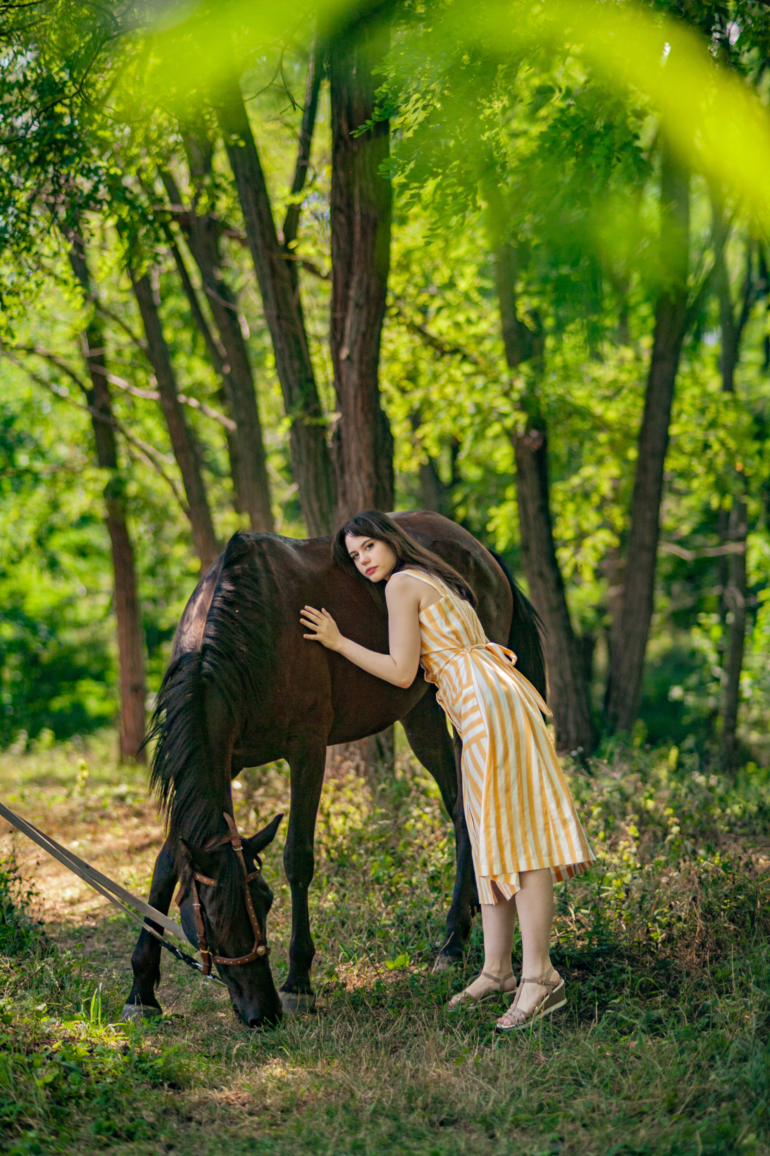 Прогулка с Лошадьми. Свадебный и семейный фотограф в Армавире