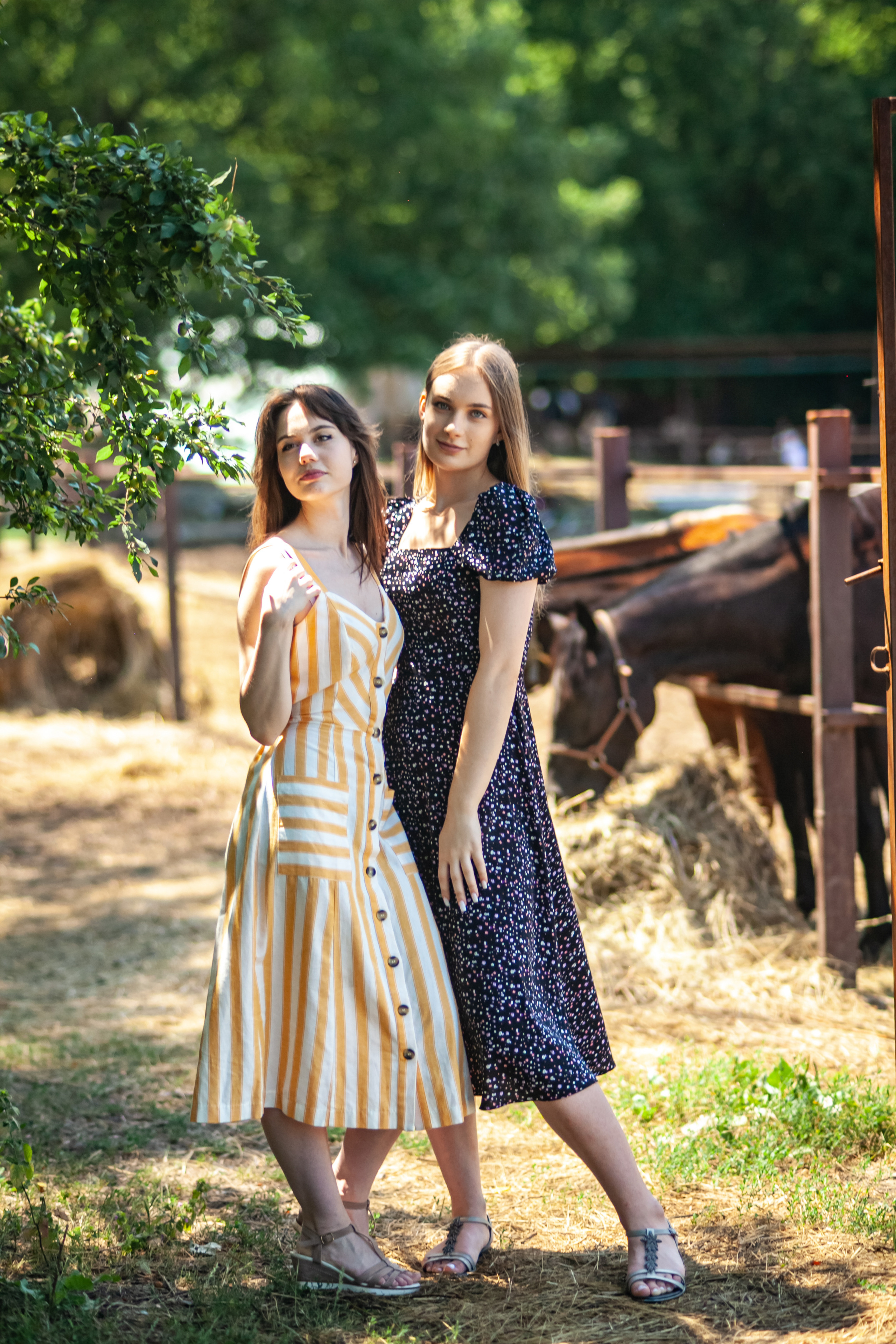 Прогулка с Лошадьми. Свадебный и семейный фотограф в Армавире