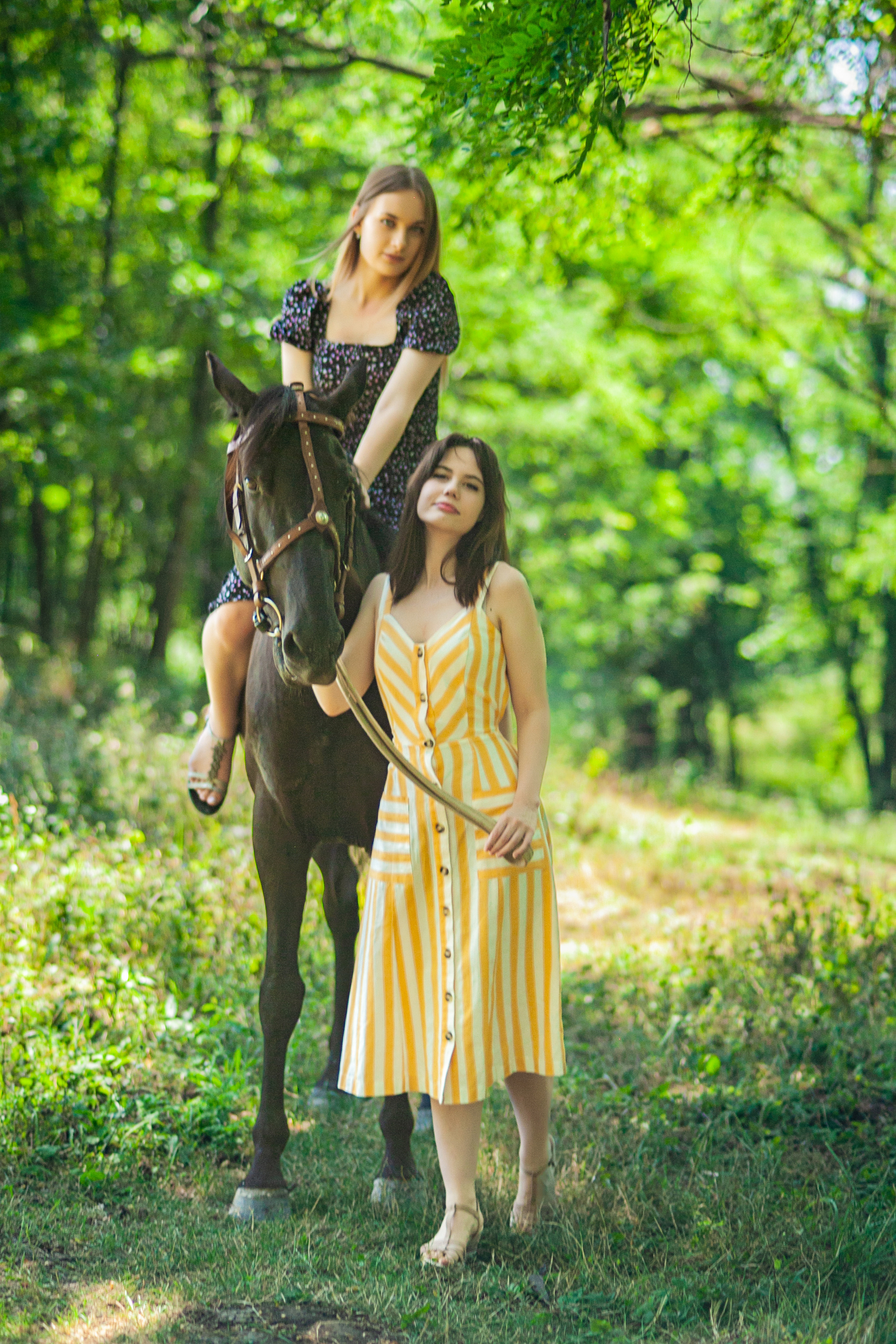 Прогулка с Лошадьми. Свадебный и семейный фотограф в Армавире