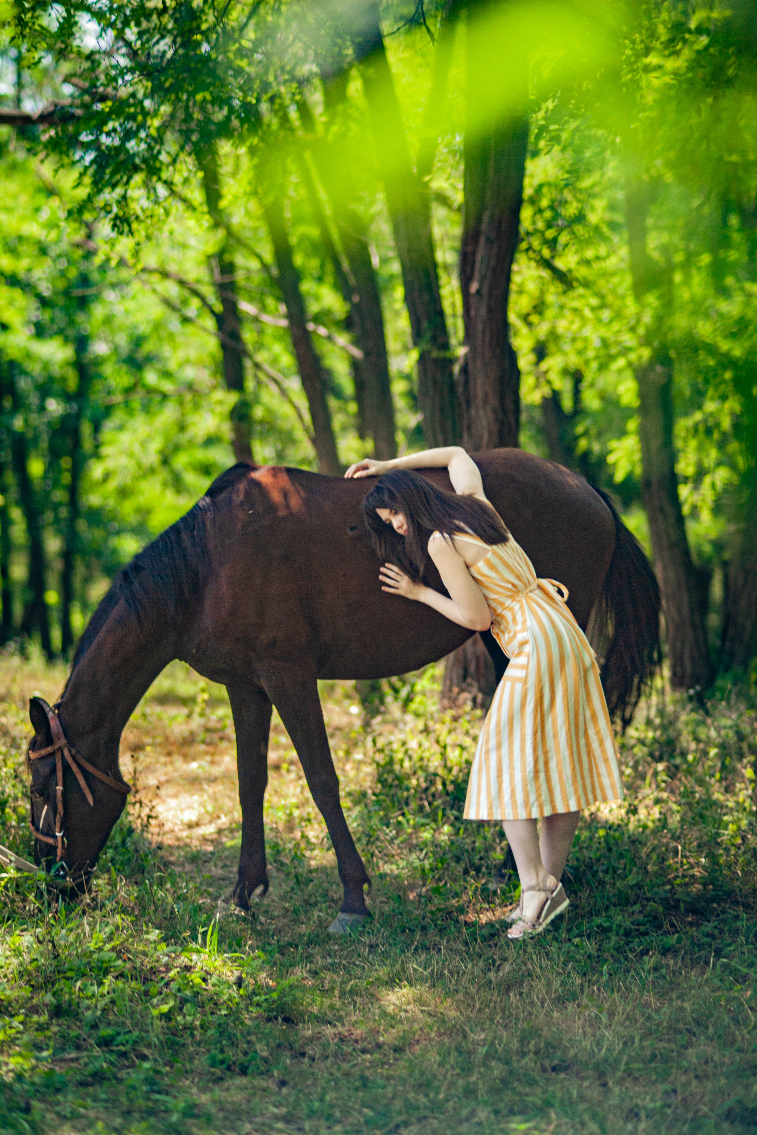 Прогулка с Лошадьми. Свадебный и семейный фотограф в Армавире