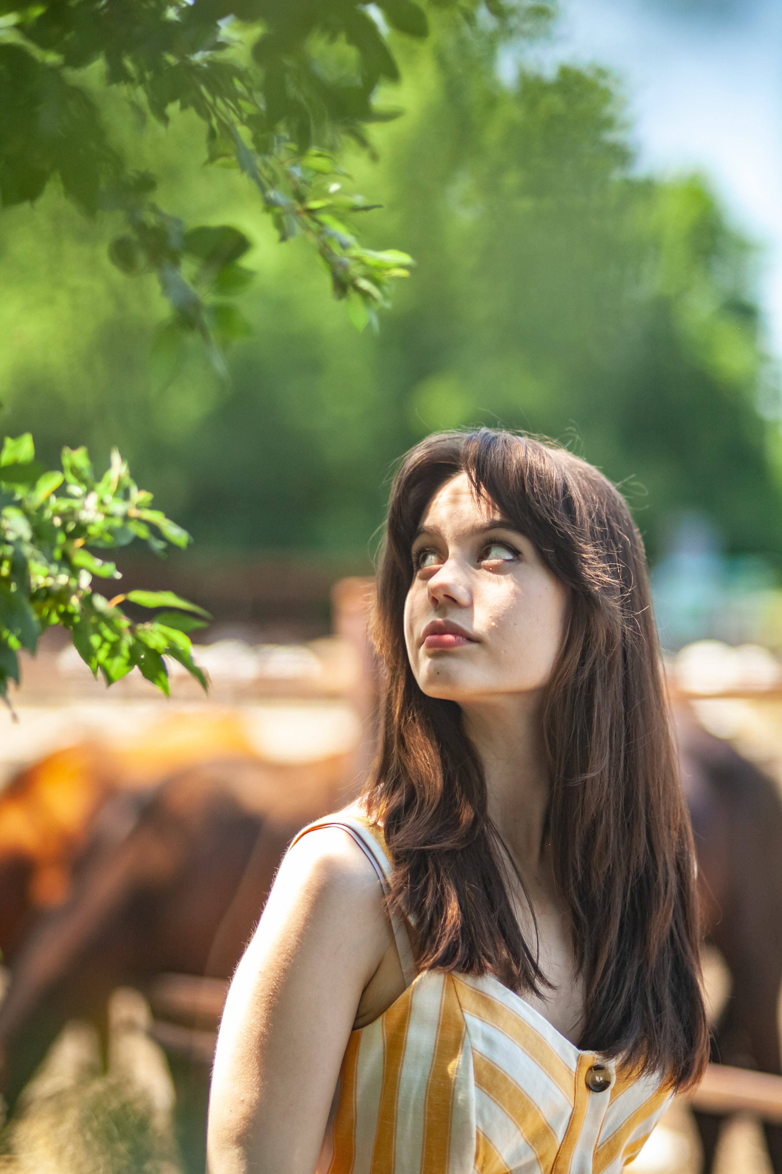 Прогулка с Лошадьми. Свадебный и семейный фотограф в Армавире