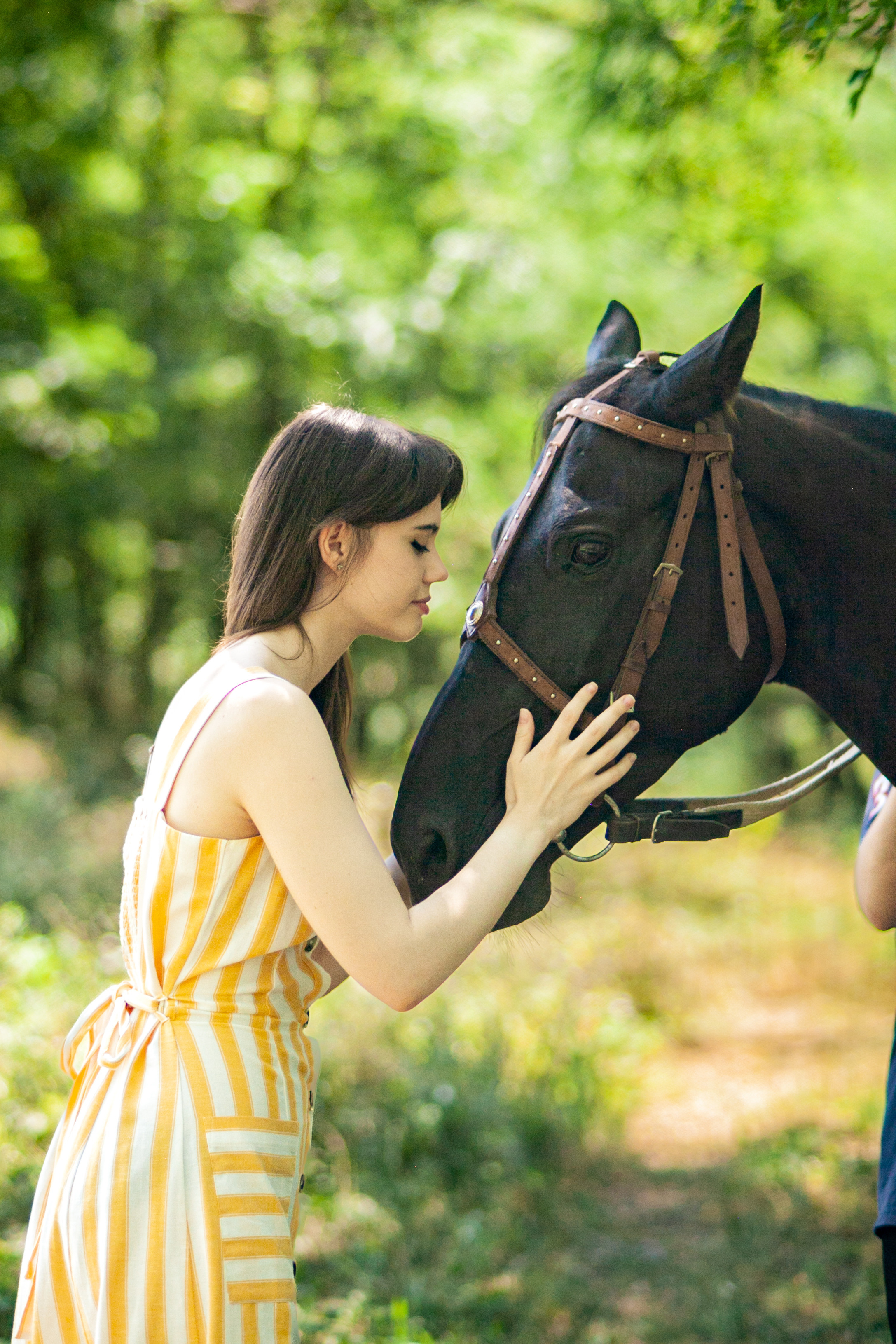 Прогулка с Лошадьми. Свадебный и семейный фотограф в Армавире