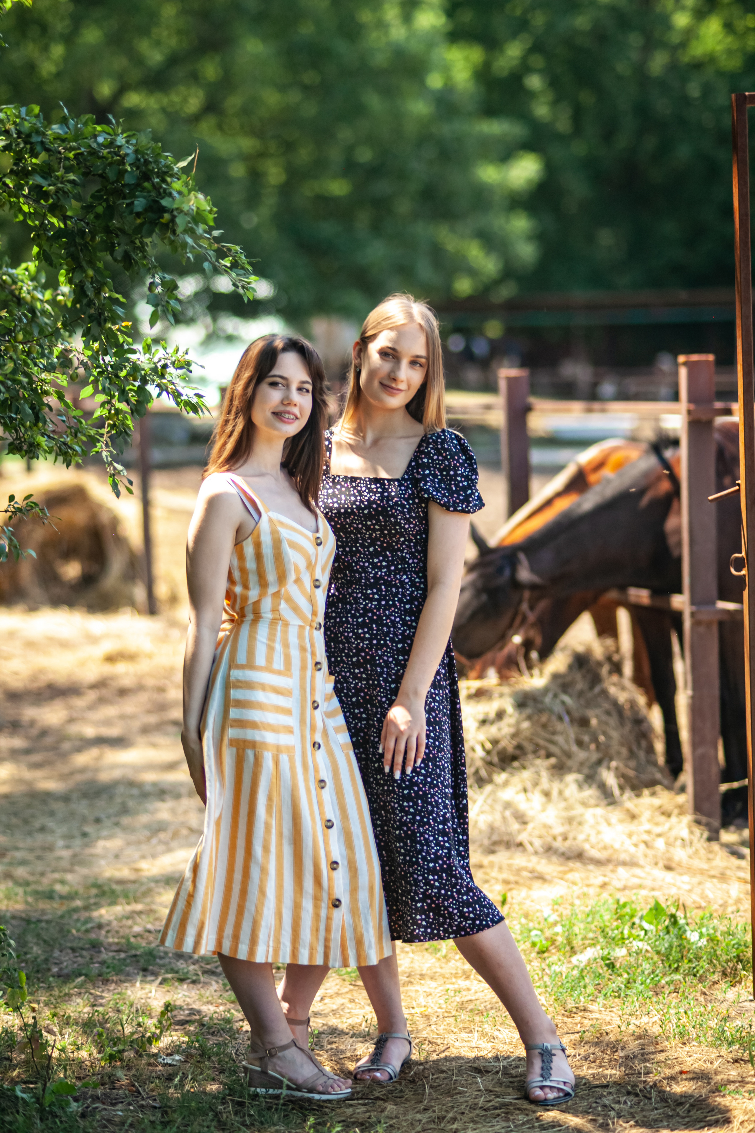 Прогулка с Лошадьми. Свадебный и семейный фотограф в Армавире