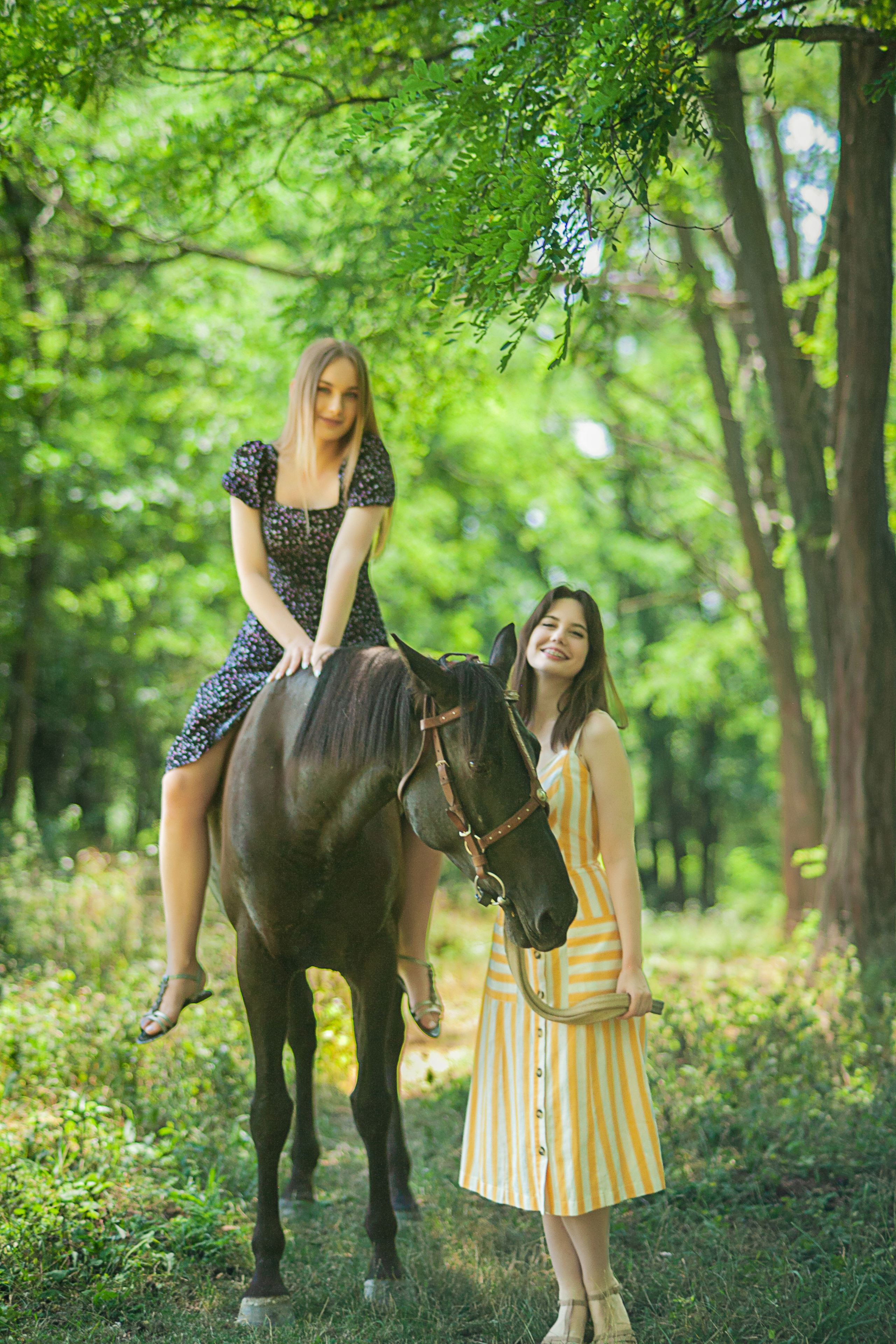 Прогулка с Лошадьми. Свадебный и семейный фотограф в Армавире