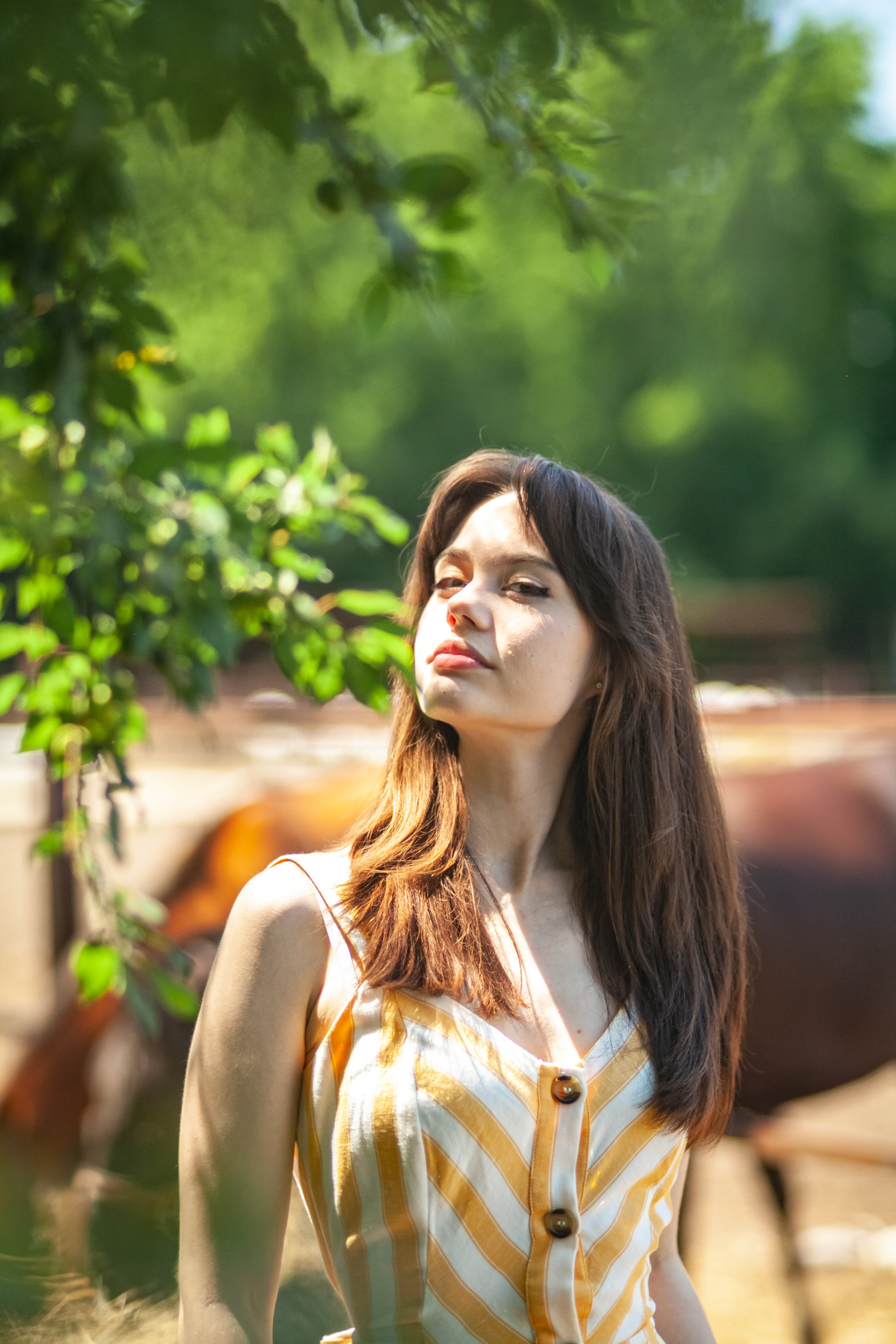 Прогулка с Лошадьми. Свадебный и семейный фотограф в Армавире