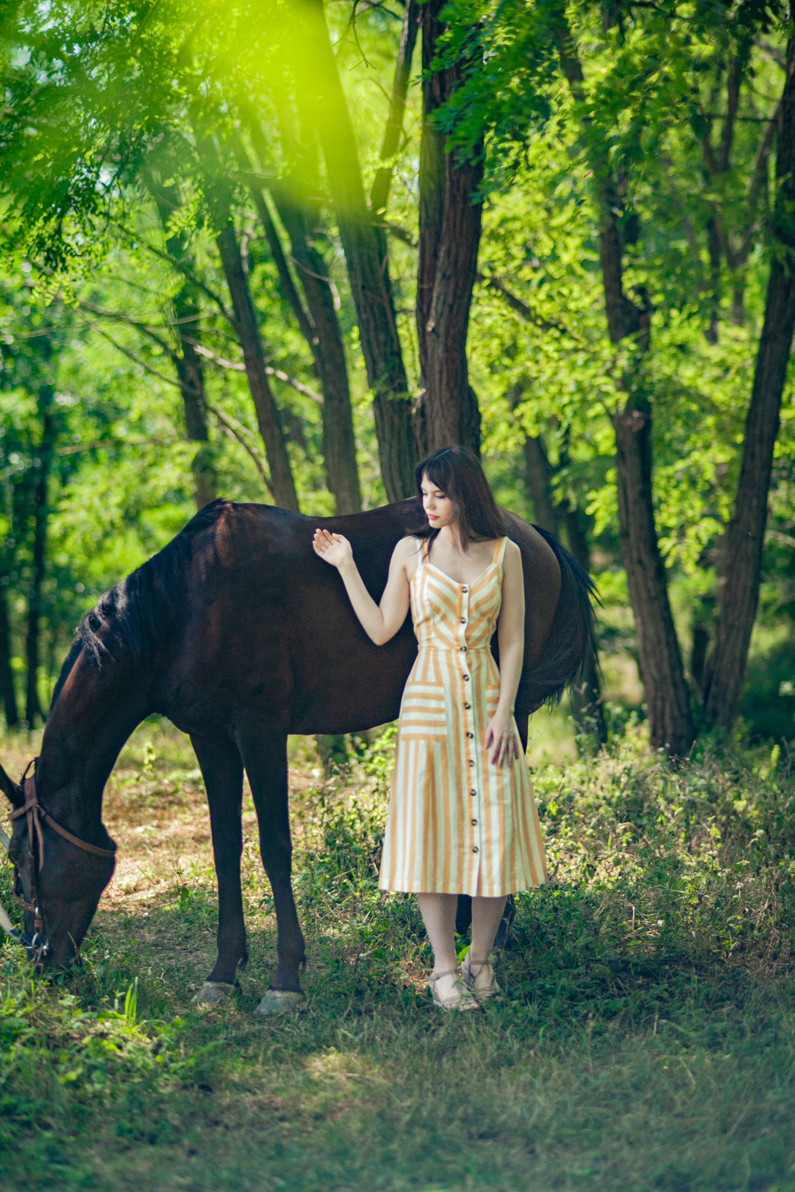Прогулка с Лошадьми. Свадебный и семейный фотограф в Армавире