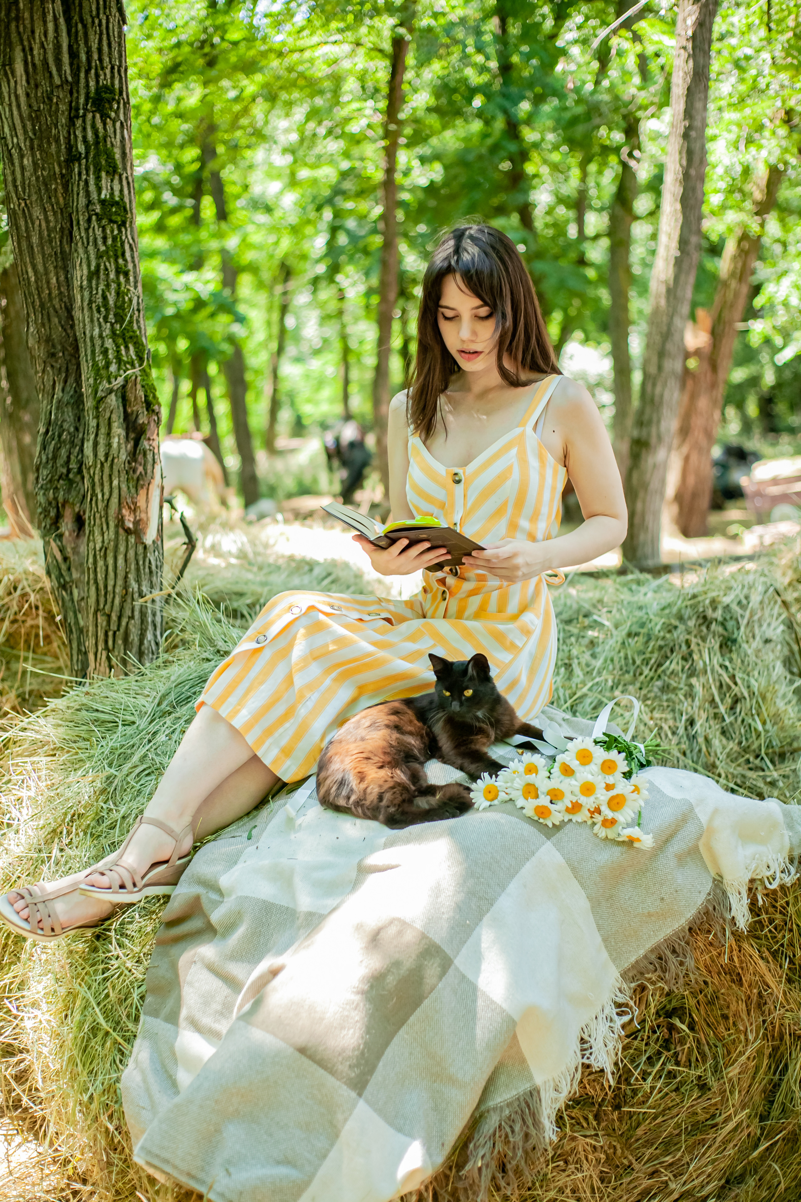 Прогулка с Лошадьми. Свадебный и семейный фотограф в Армавире