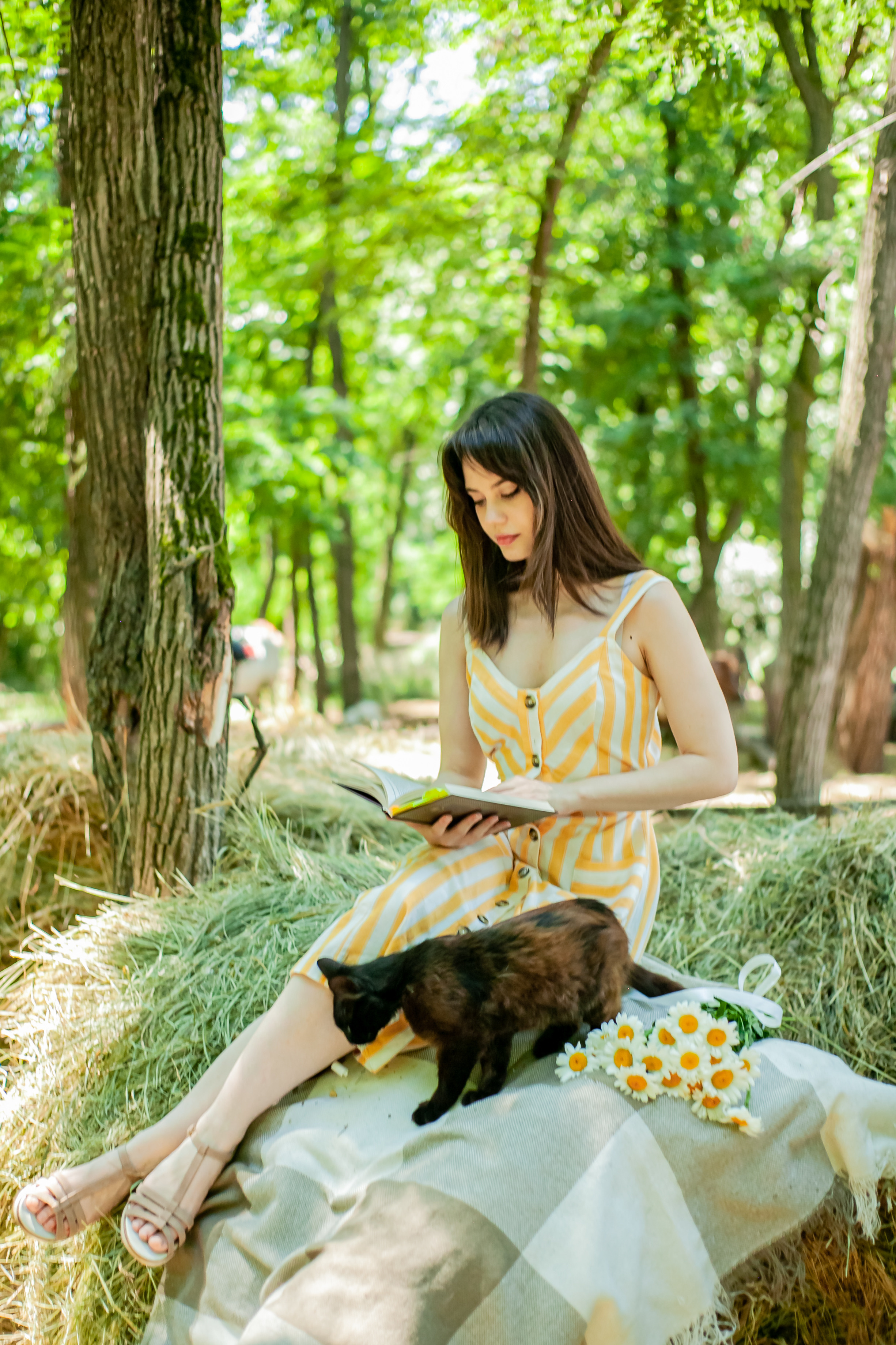 Прогулка с Лошадьми. Свадебный и семейный фотограф в Армавире