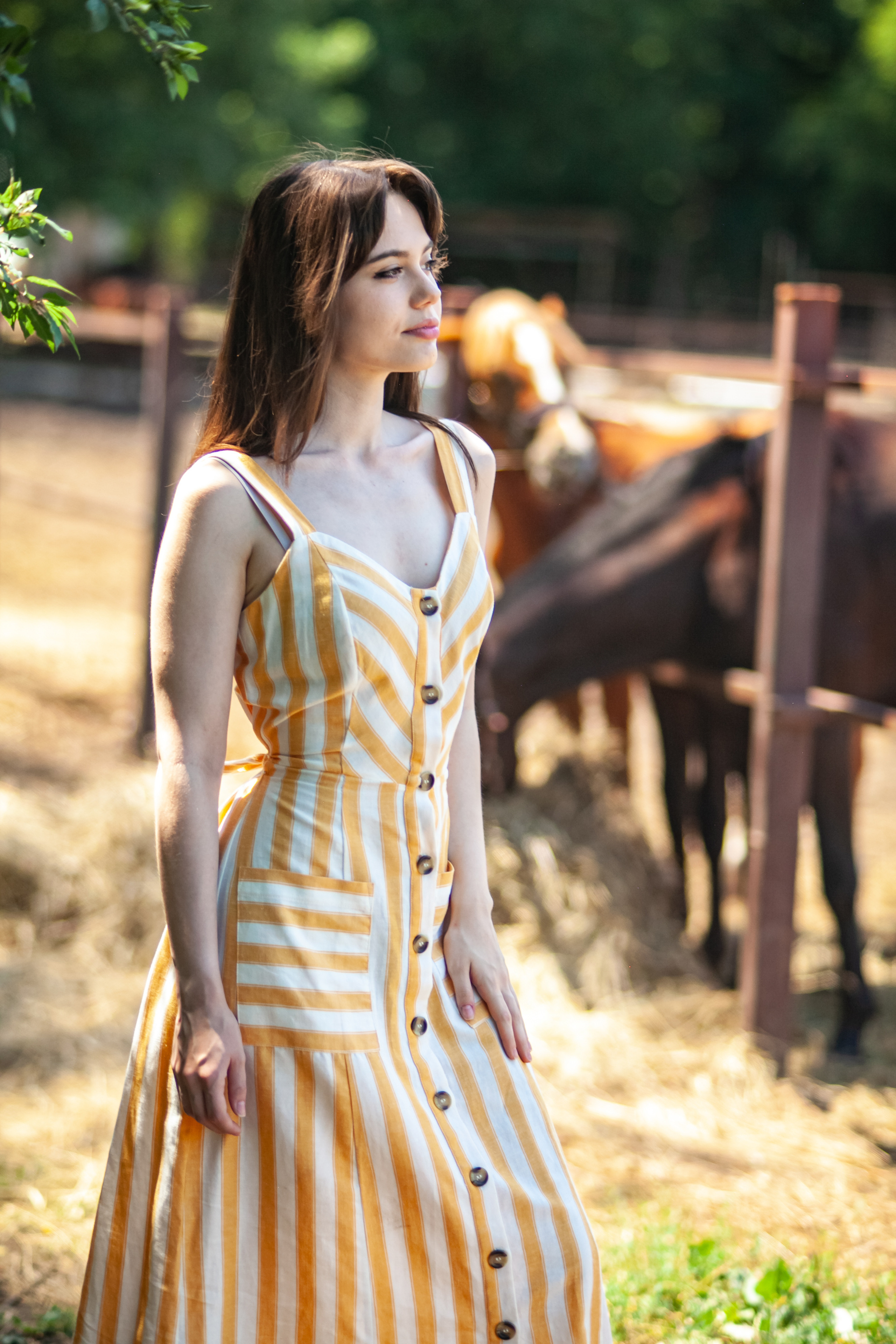 Прогулка с Лошадьми. Свадебный и семейный фотограф в Армавире