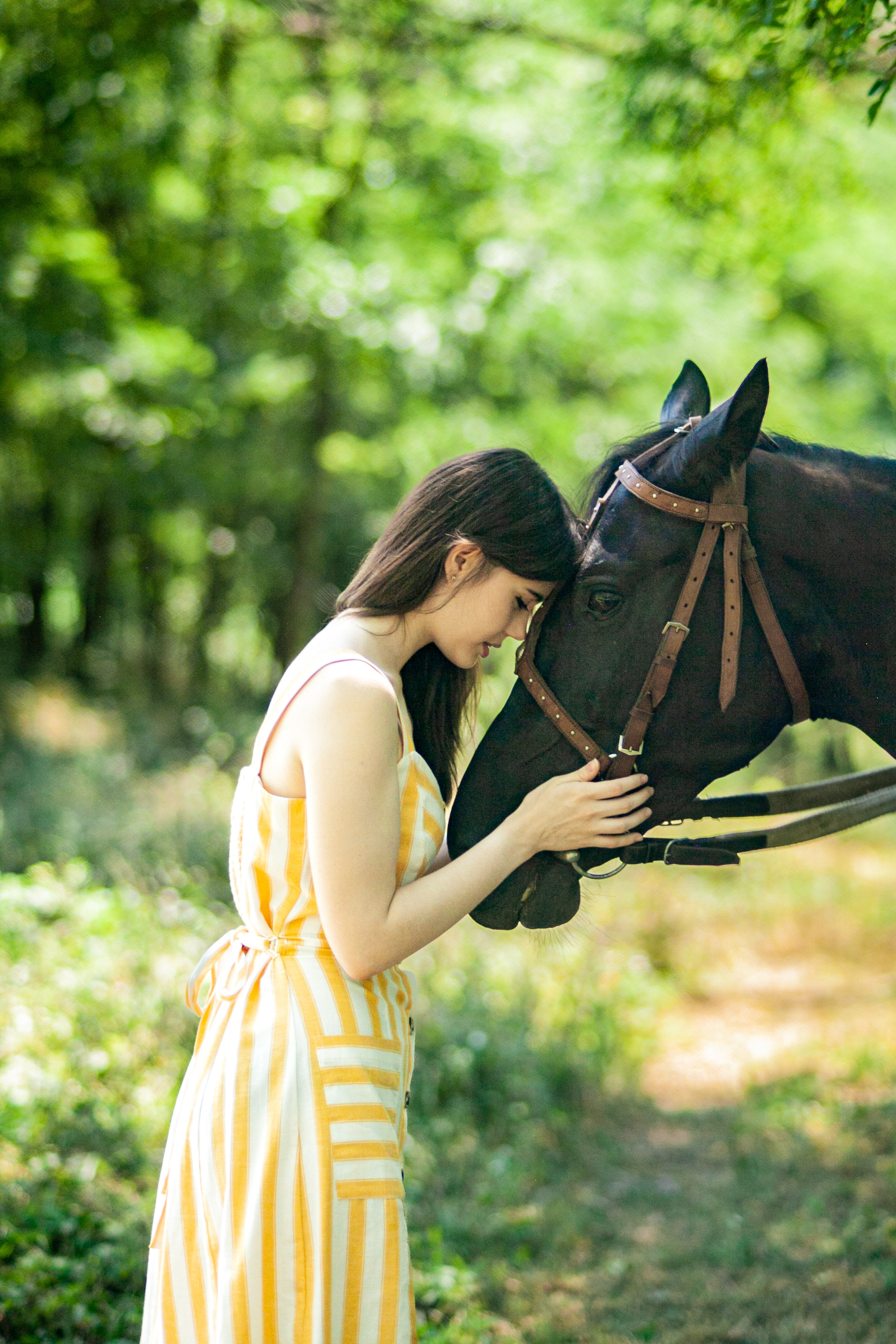 Прогулка с Лошадьми. Свадебный и семейный фотограф в Армавире