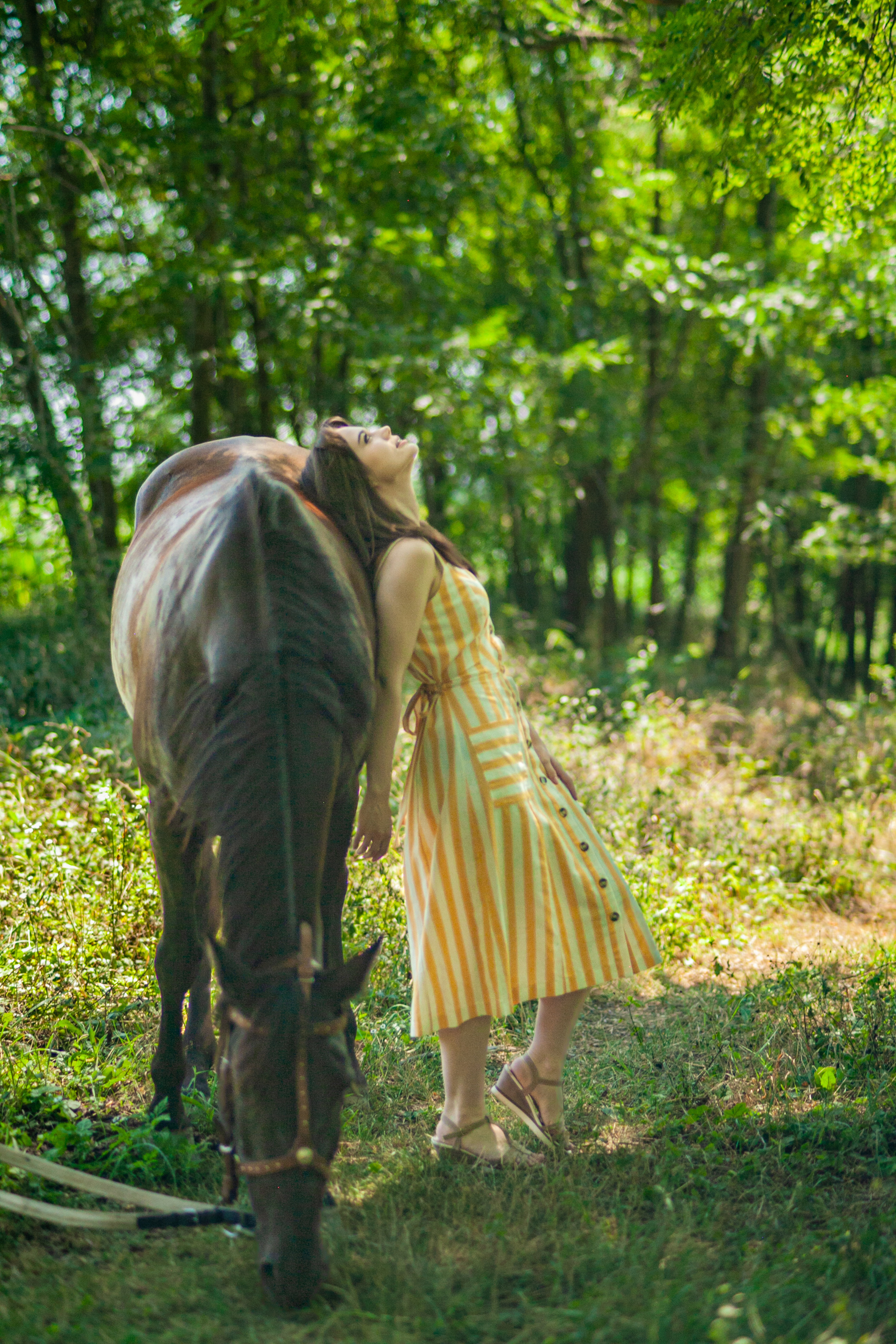 Прогулка с Лошадьми. Свадебный и семейный фотограф в Армавире