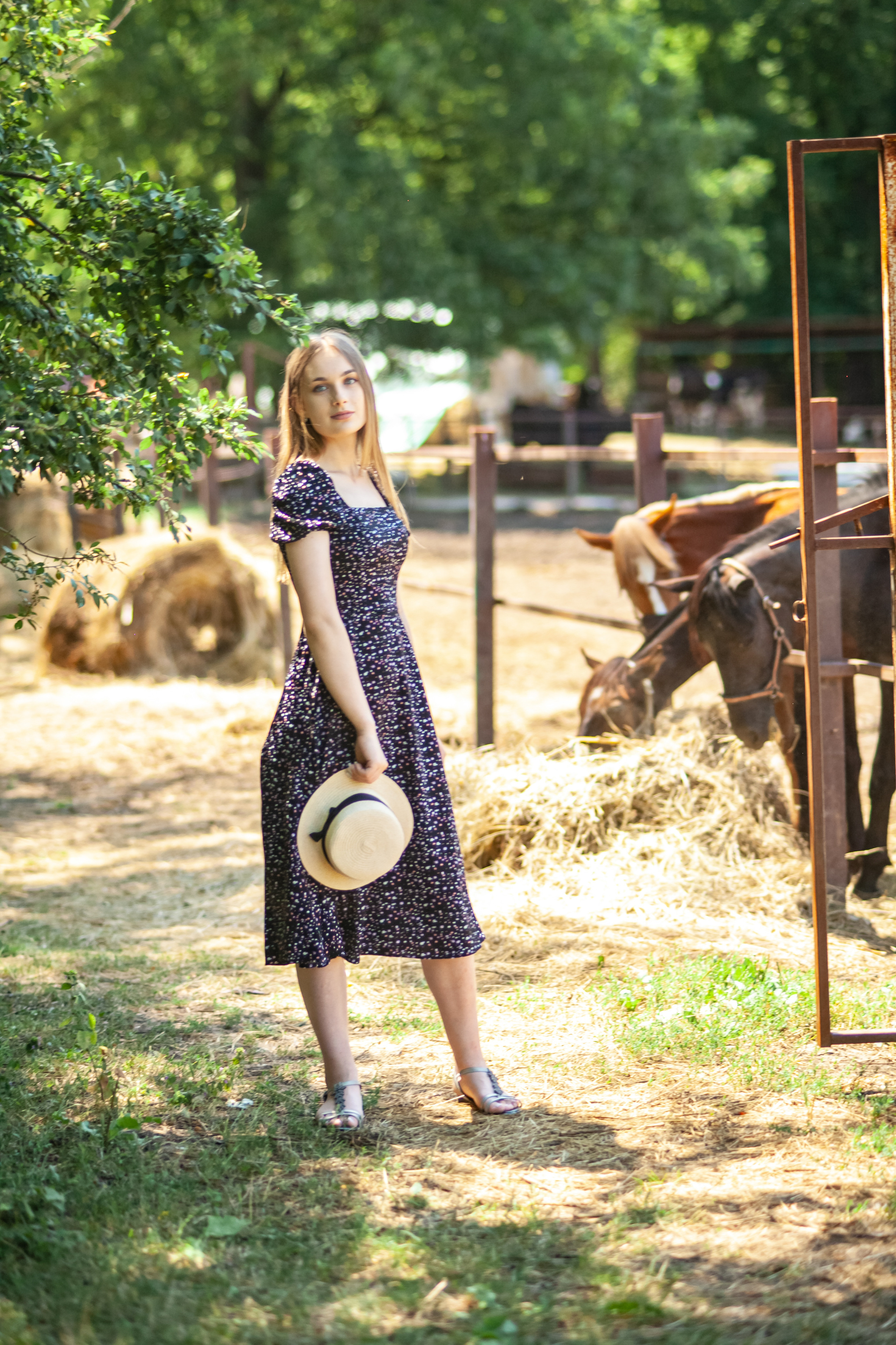 Прогулка с Лошадьми. Свадебный и семейный фотограф в Армавире