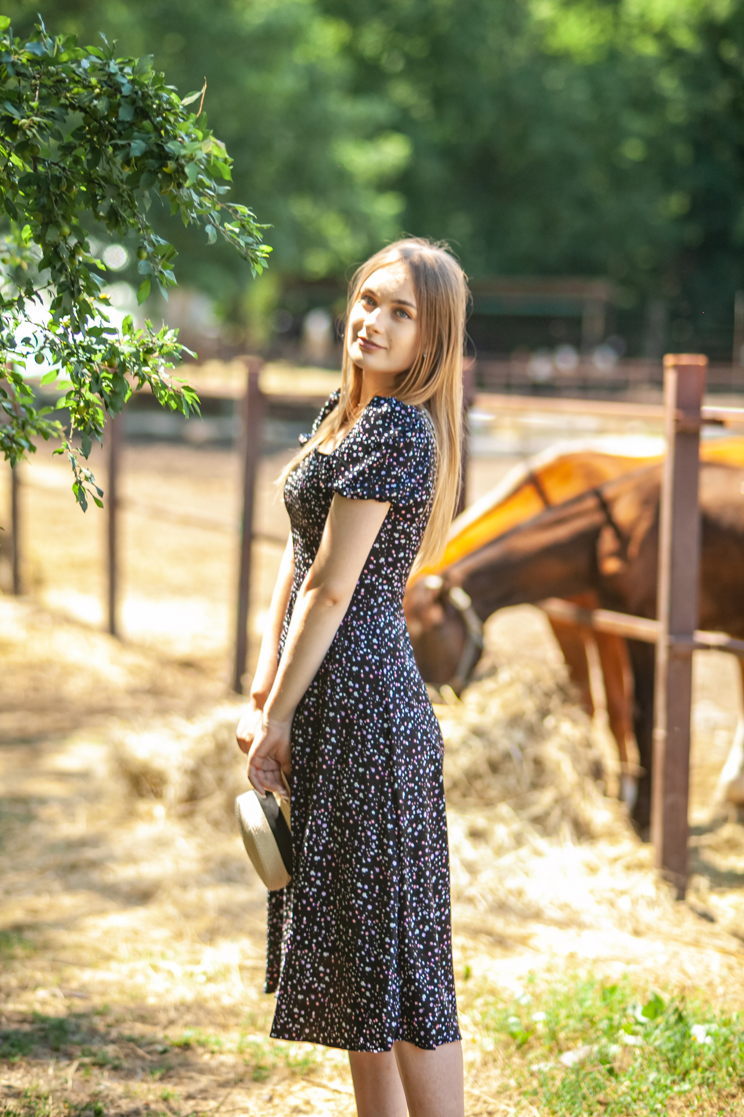 Прогулка с Лошадьми. Свадебный и семейный фотограф в Армавире