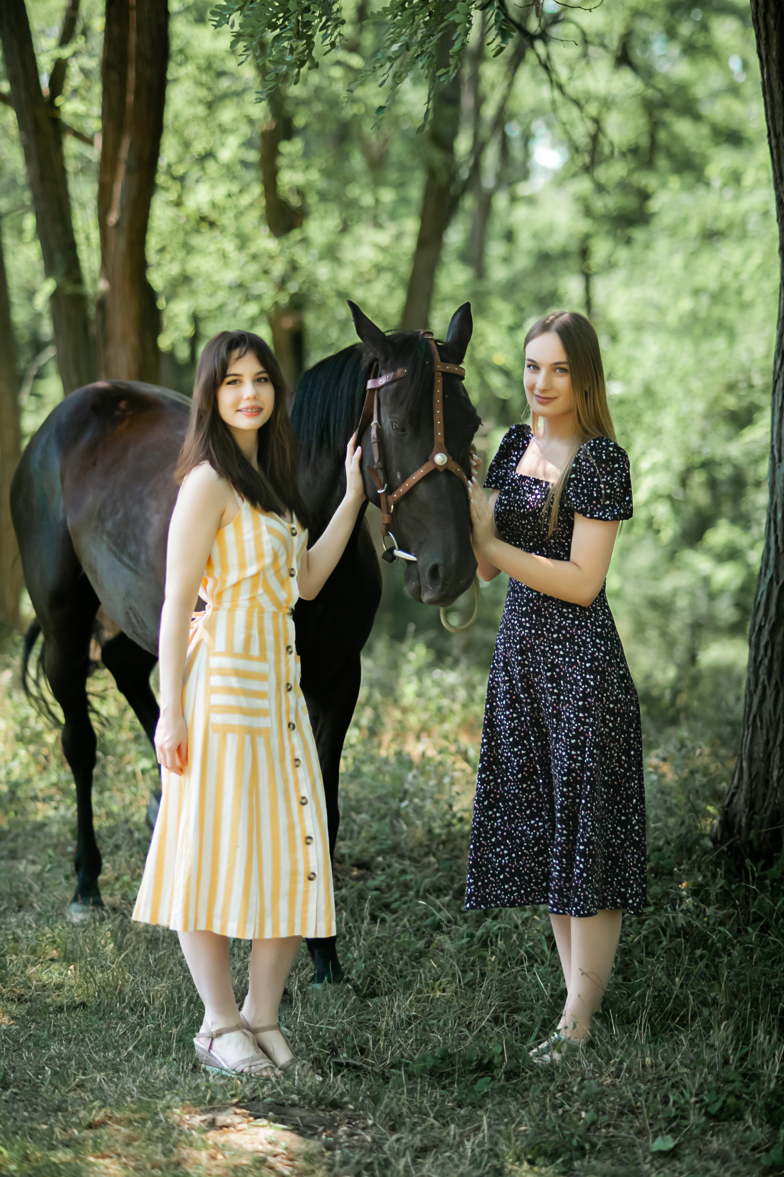 Прогулка с Лошадьми. Свадебный и семейный фотограф в Армавире