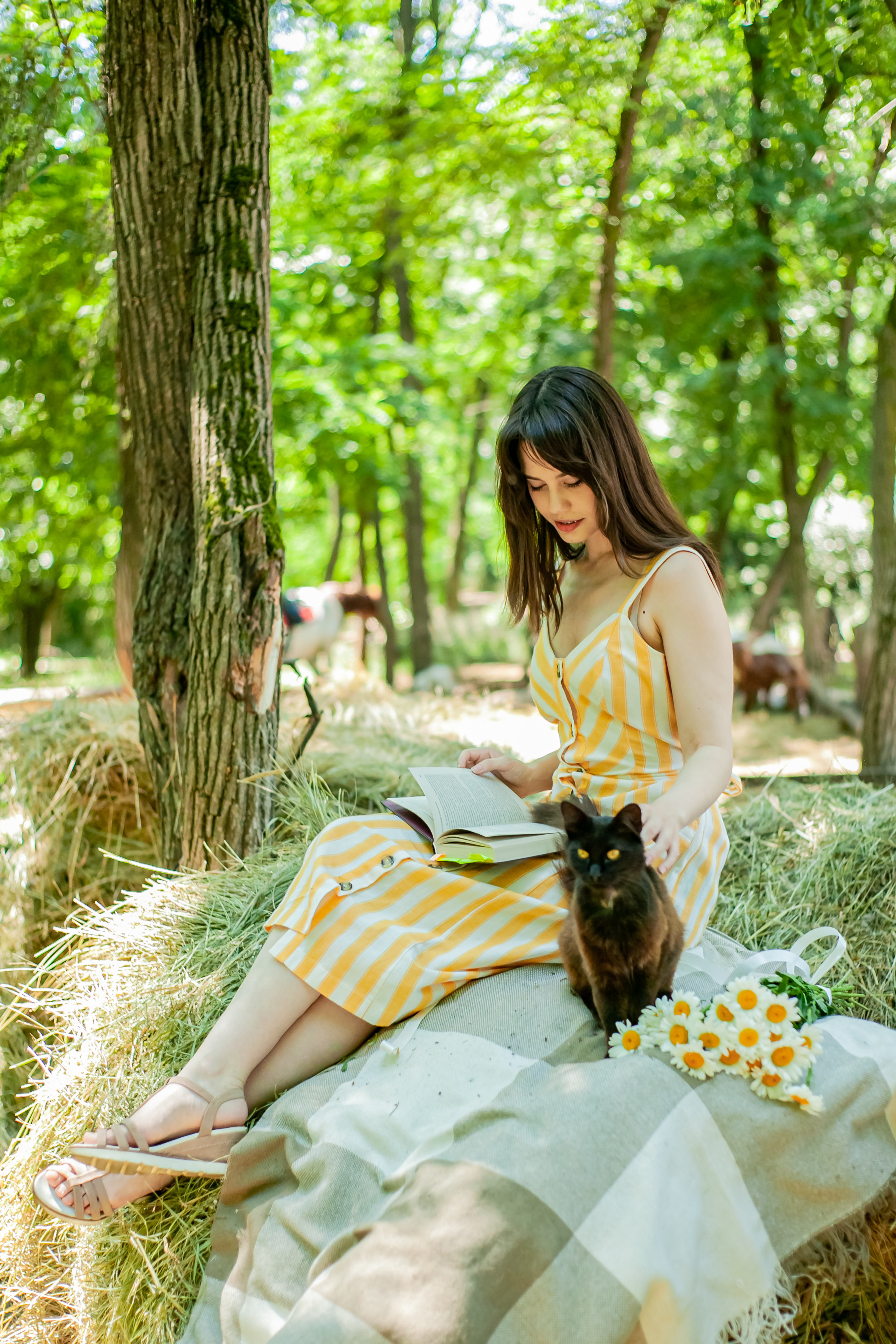 Прогулка с Лошадьми. Свадебный и семейный фотограф в Армавире