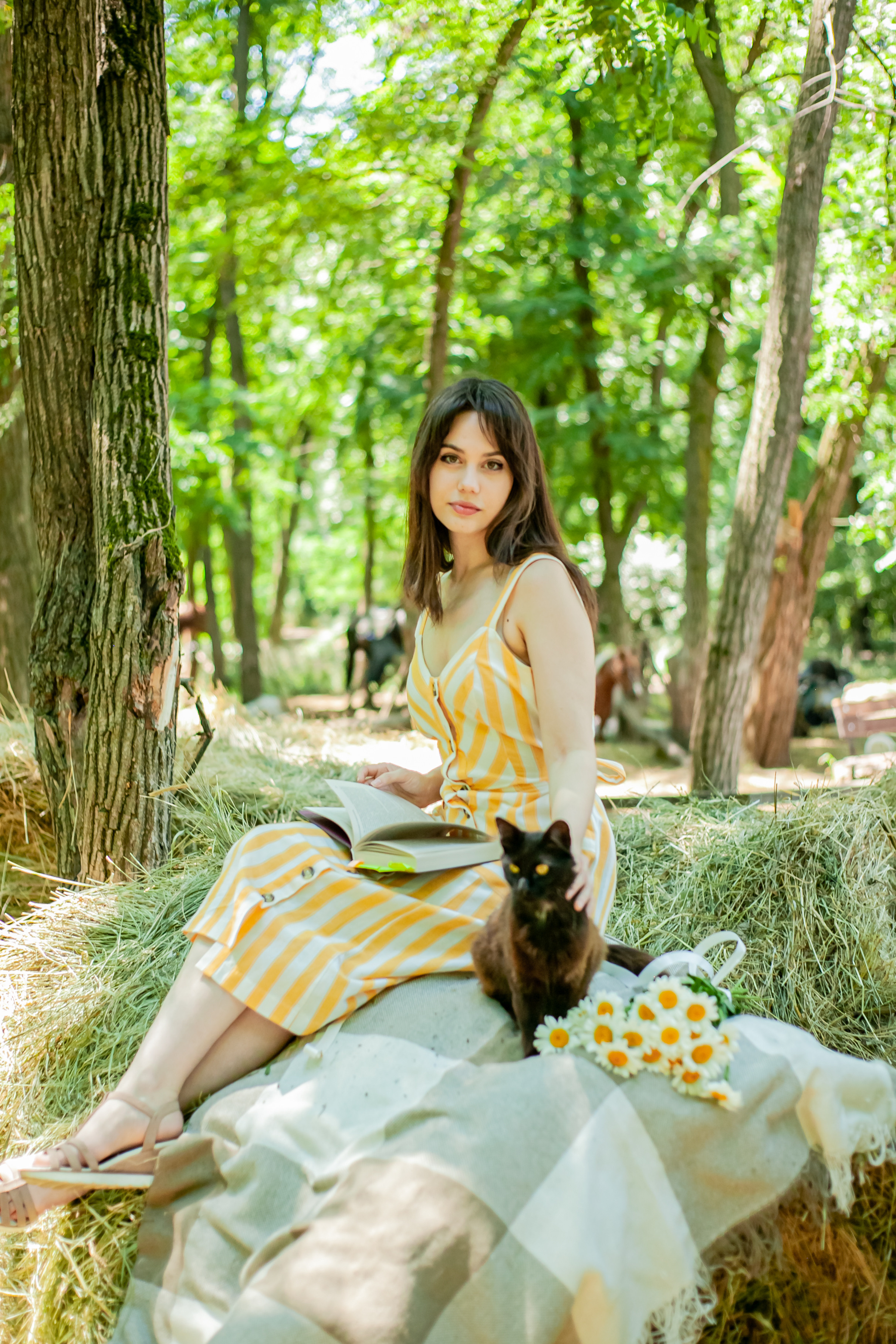 Прогулка с Лошадьми. Свадебный и семейный фотограф в Армавире