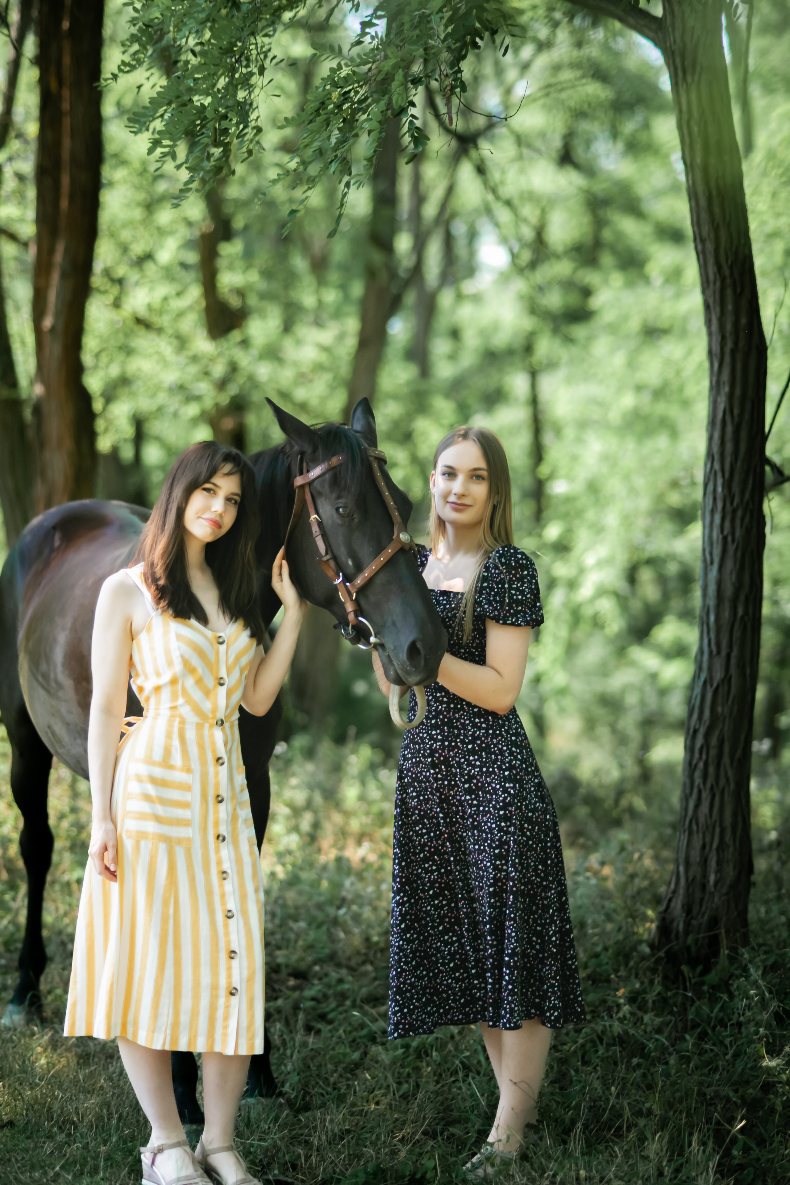 Прогулка с Лошадьми. Свадебный и семейный фотограф в Армавире
