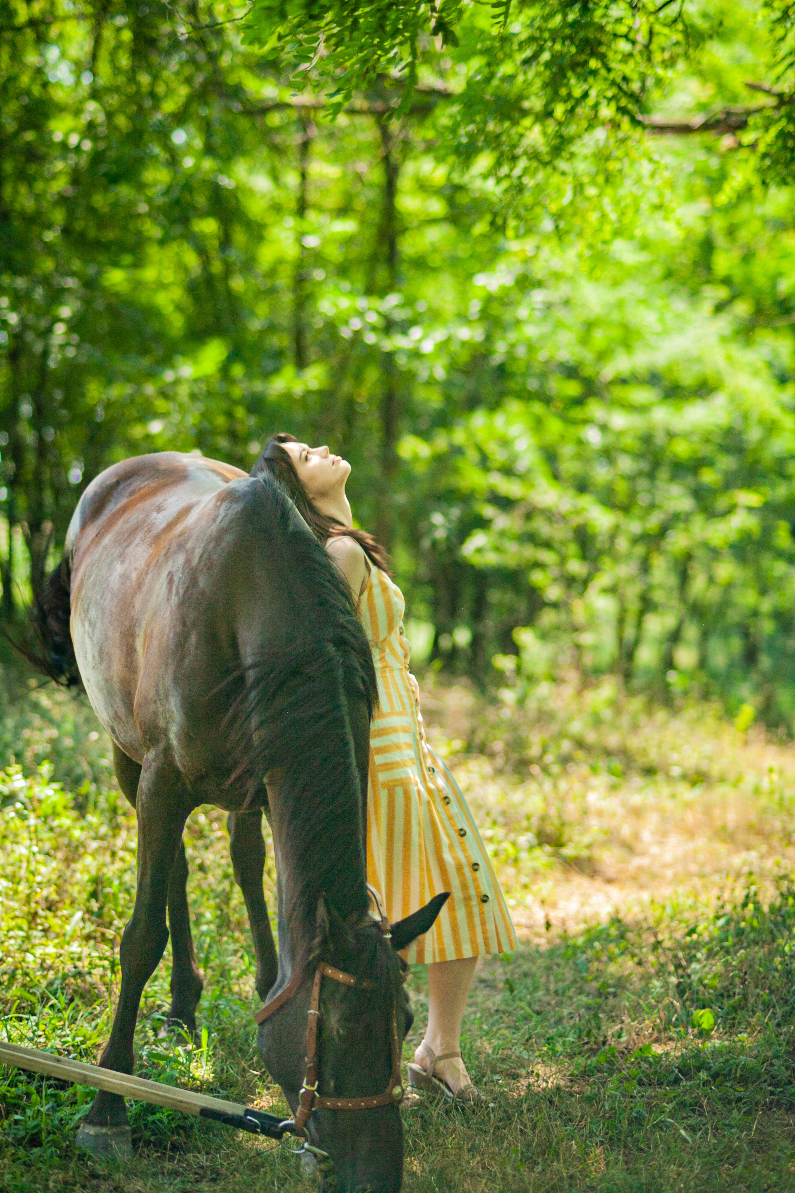 Прогулка с Лошадьми. Свадебный и семейный фотограф в Армавире